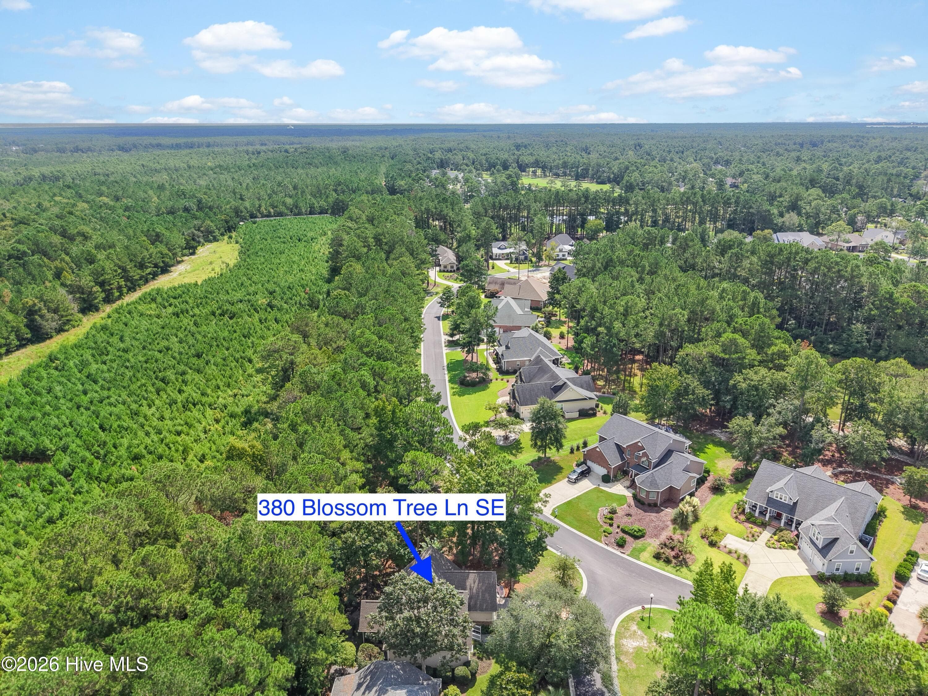 Single Family Residence at 380 Blossom Tree Lane SE, Bolivia, NC 28422, photo 49 of 77