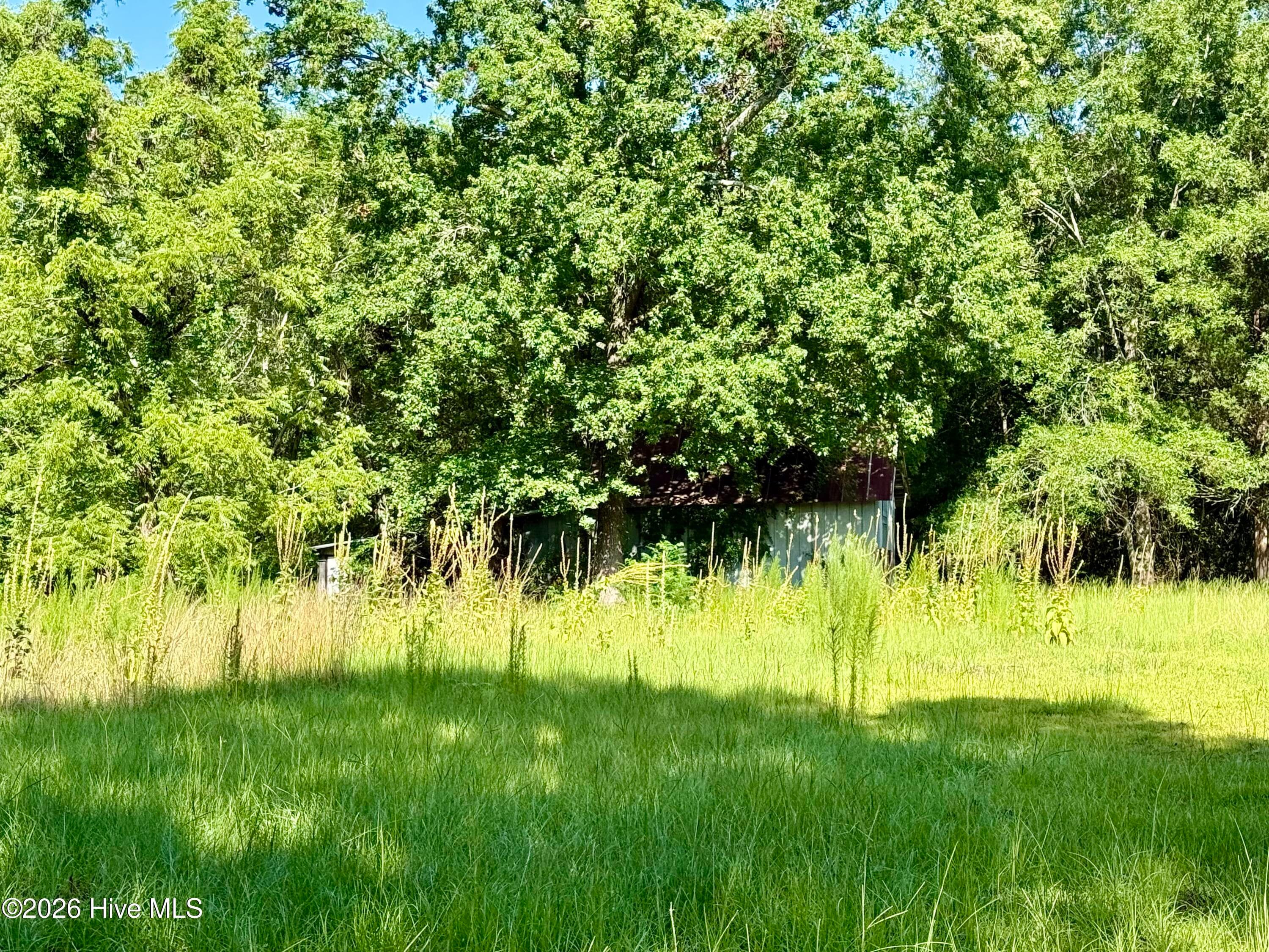Undeveloped at Tbd Roberdel School Road, Rockingham, NC 28379, photo 17 of 41