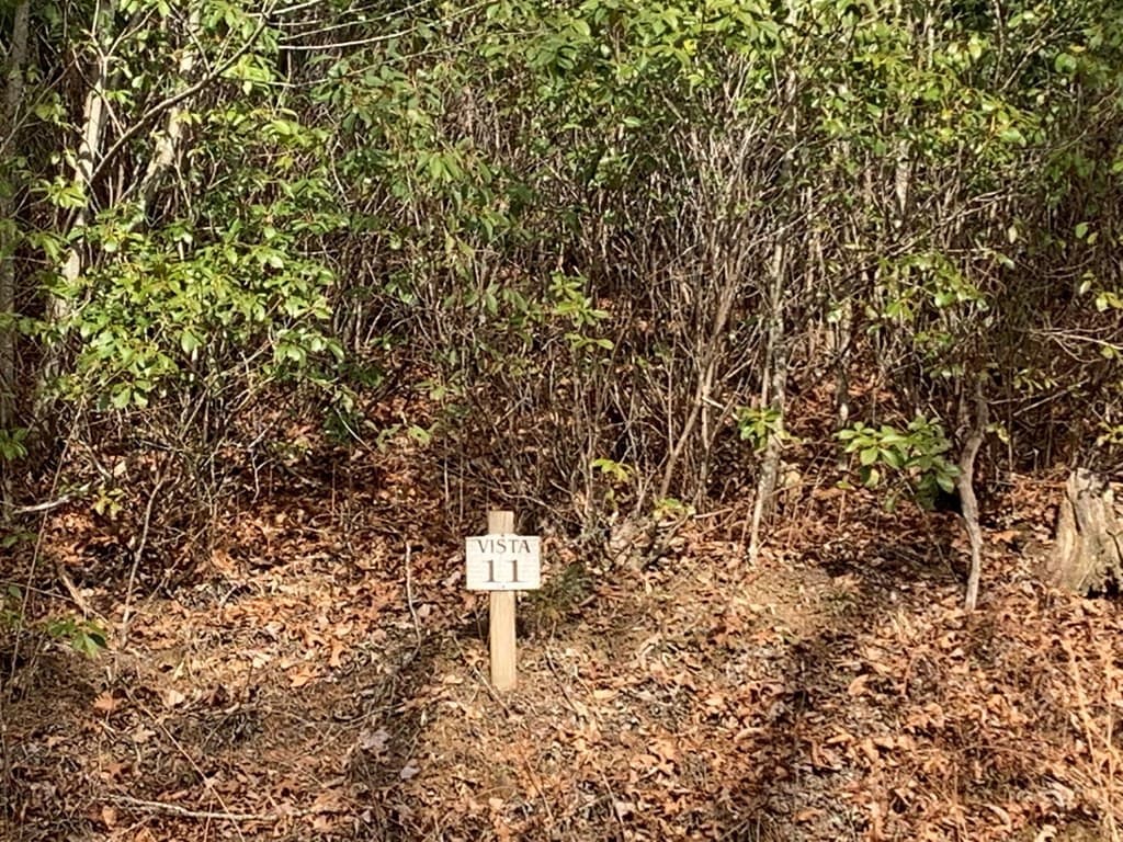 Residential Lot at Lot # 11 11 Forest Vista Lane, Topton, NC 28781, photo 2 of 5