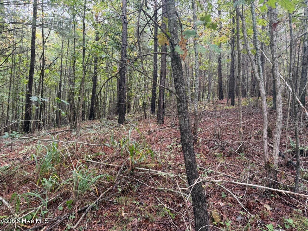 1440 Upper Bear Paw Road, Murphy, NC 28906
