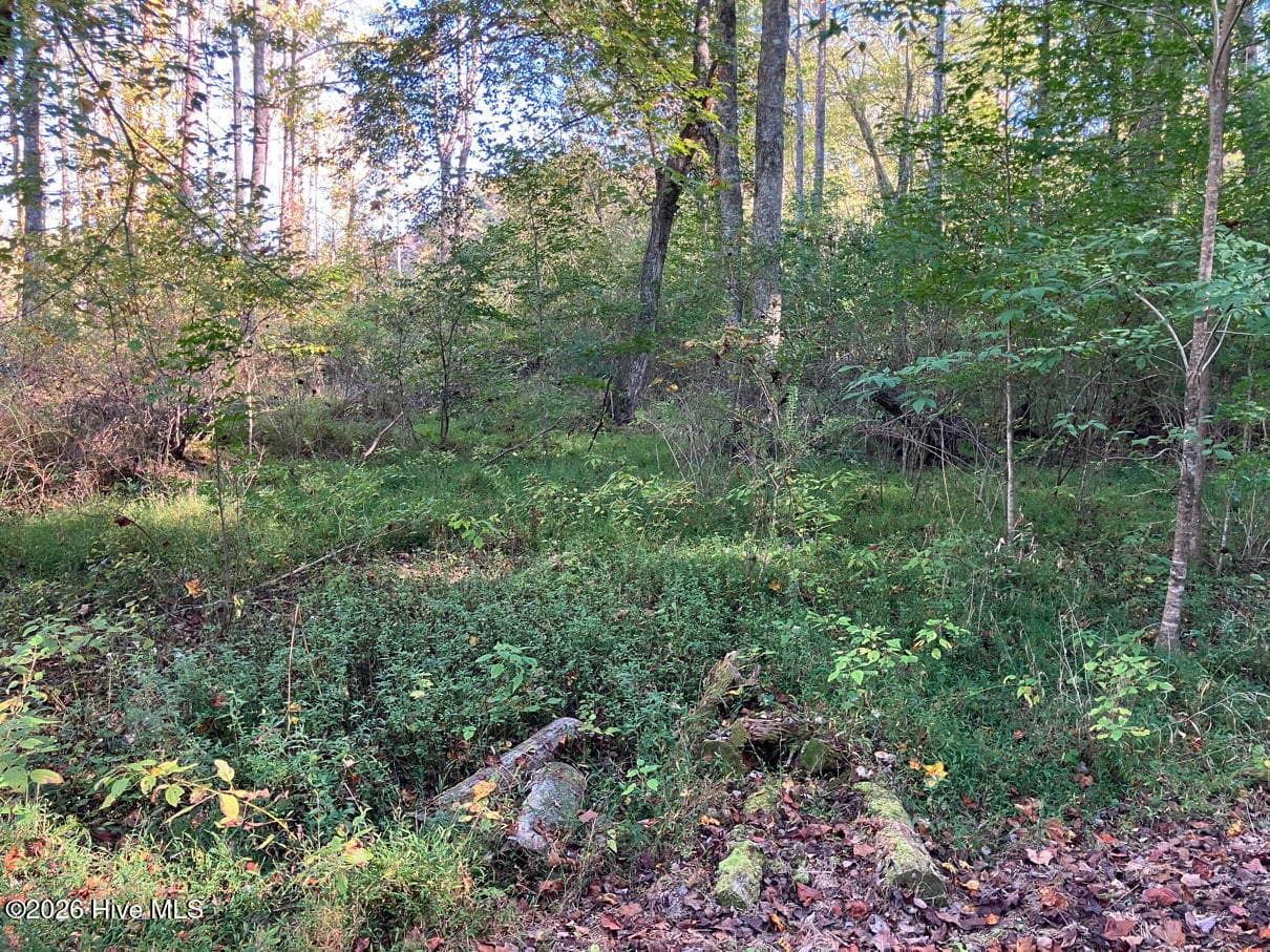 Residential Lot at 6 6 Rushing Water Trail, Hayesville, NC 28904, Hayesville, photo 12 of 14