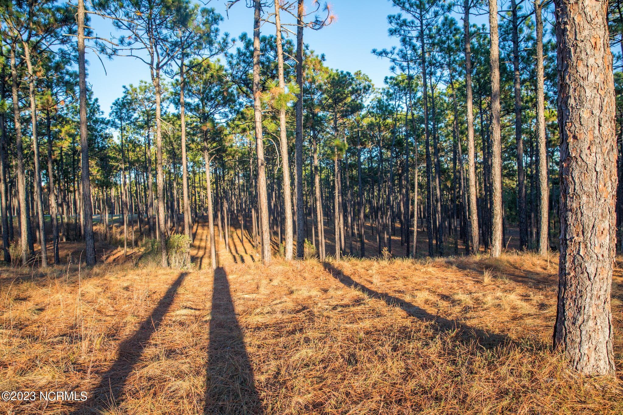 Residential Land at 145 4 Pixie Moss Lane, Southern Pines, NC 28387, photo 2 of 3