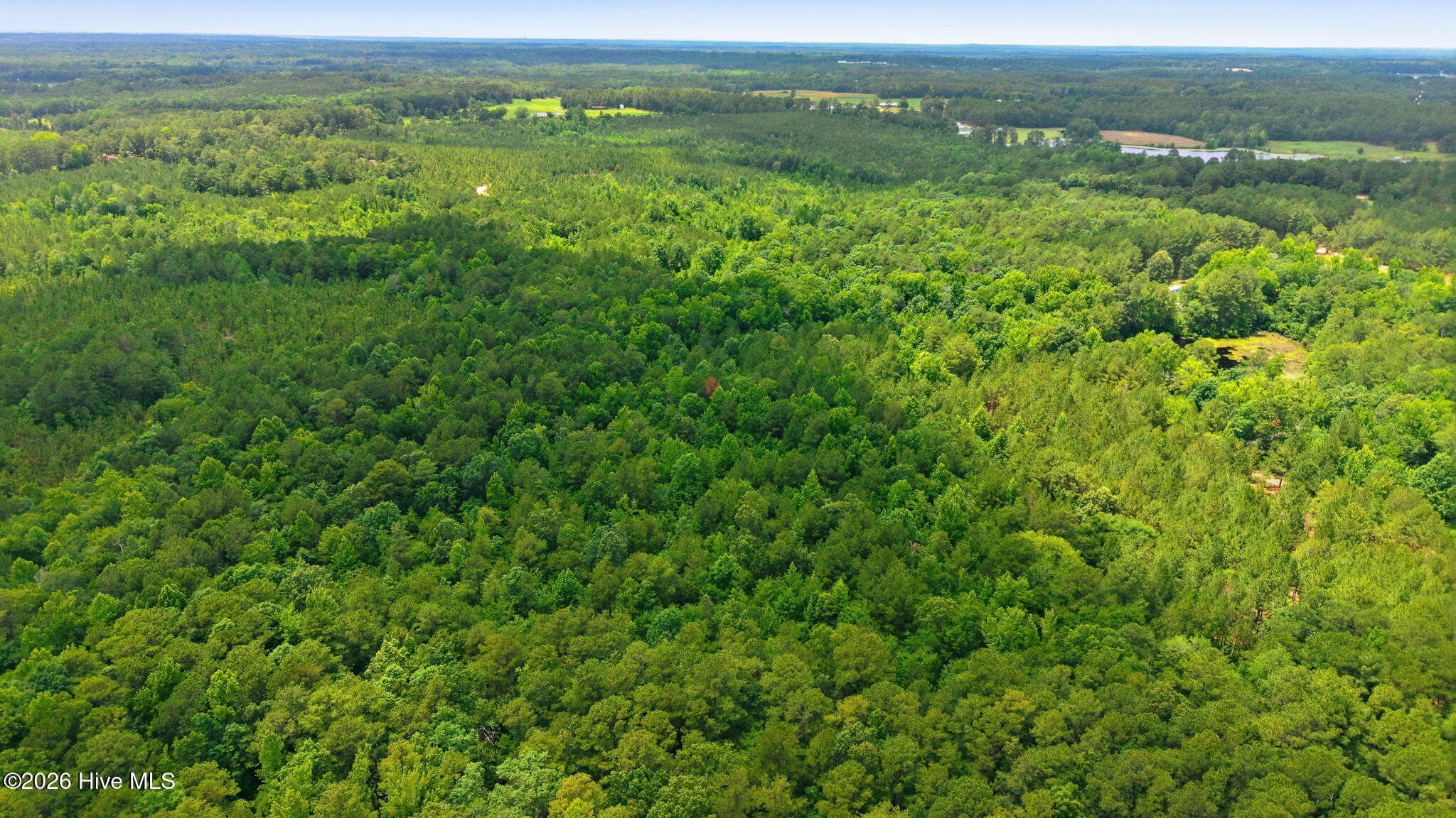 Wooded at 329 Cypress Farm Road, Cameron, NC 28326, photo 5 of 13