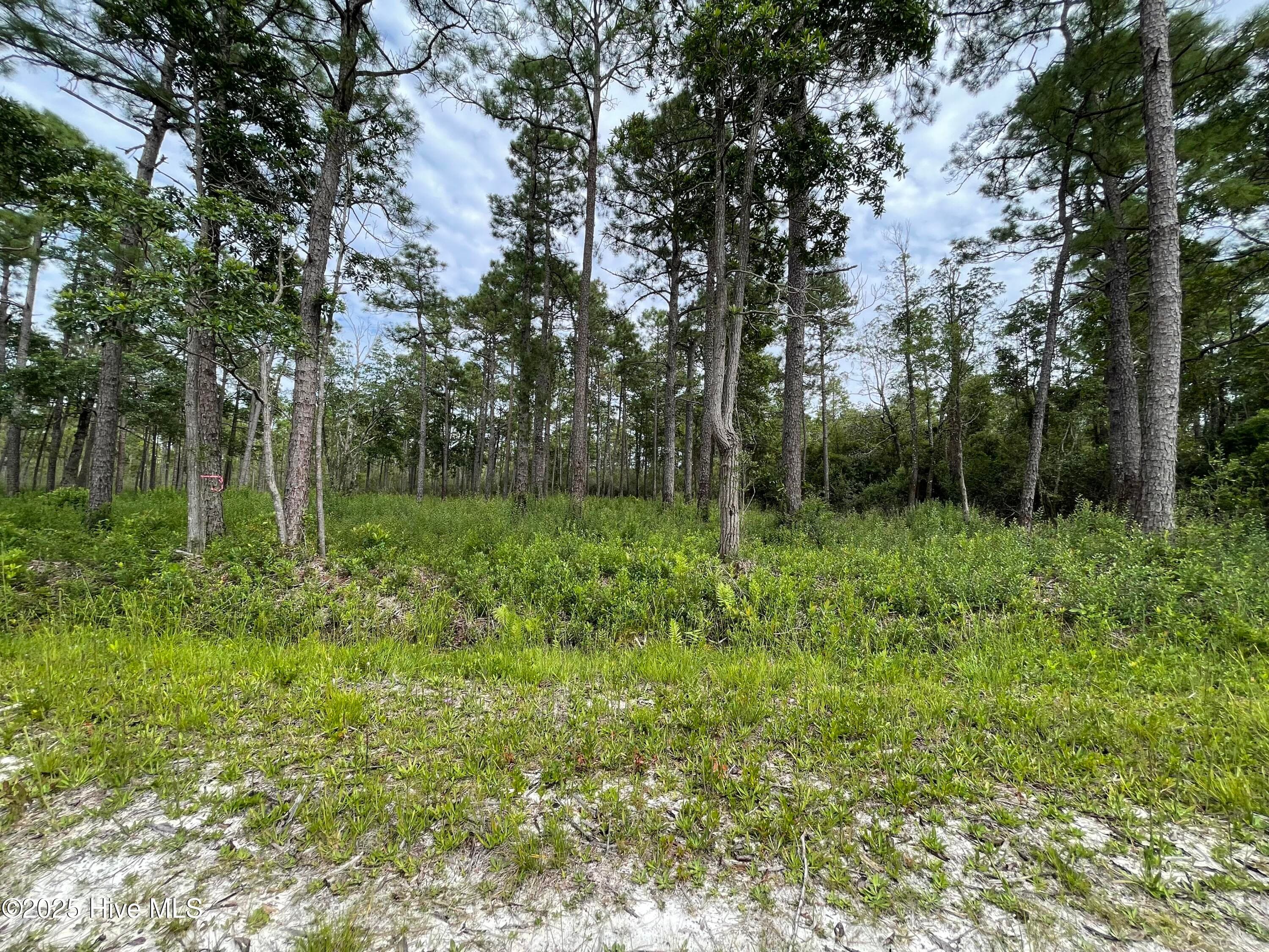 Residential Lot at 811 Brittany Road, Southport, NC 28461, photo 23 of 25