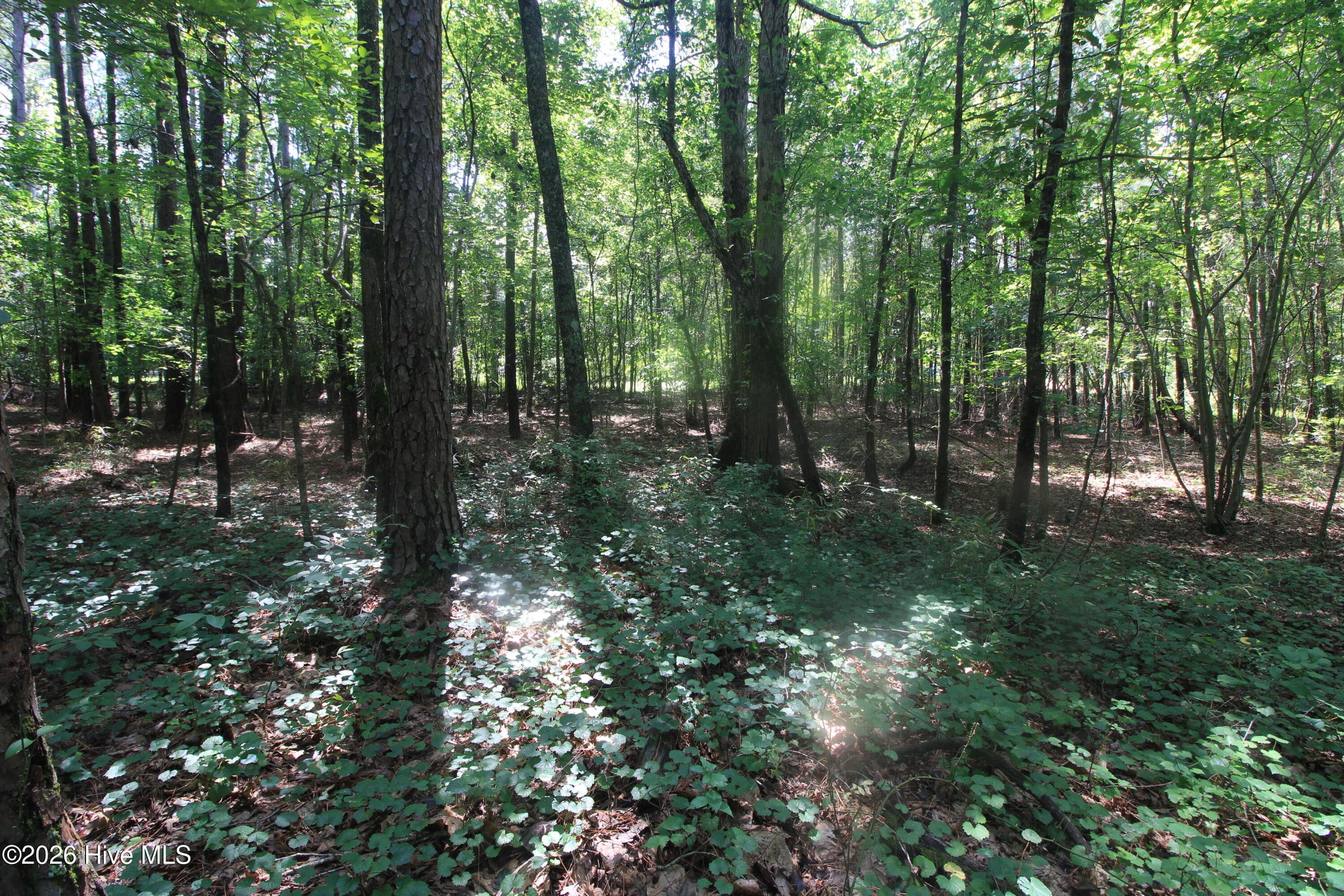 Residential Lot at 0 Crowatan Trail, Carthage, NC 28327, photo 19 of 35