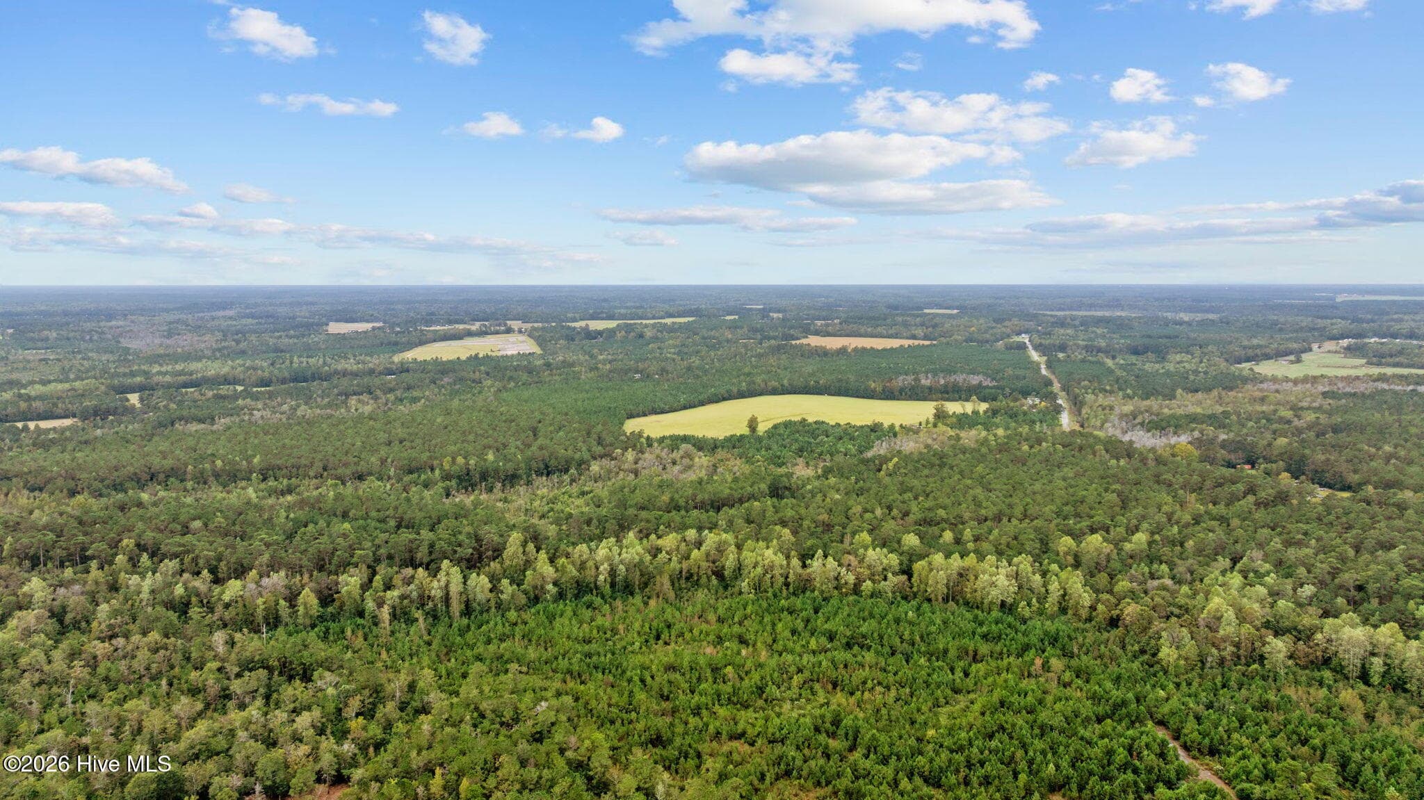 Wooded at 50ac Near 22984 Peacock R Road, Tabor City, NC 28463, photo 6 of 6