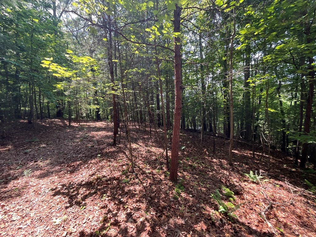 Land at 5 Birds View Lane, Murphy, NC 28906, photo 10 of 17