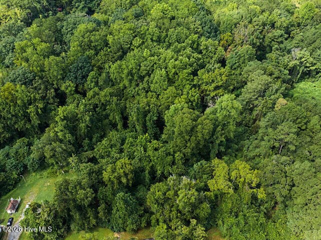 Wooded at Tbd Cedar Street, Rockingham, NC 28379, photo 6 of 18