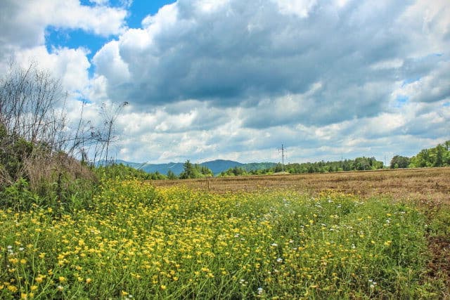 00 Highway 64 East, Murphy, NC 28906