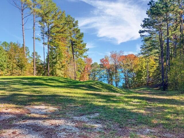 Residential Lot at 18 S Pointe Cove, Lincolnton, GA 30817, photo 14 of 15