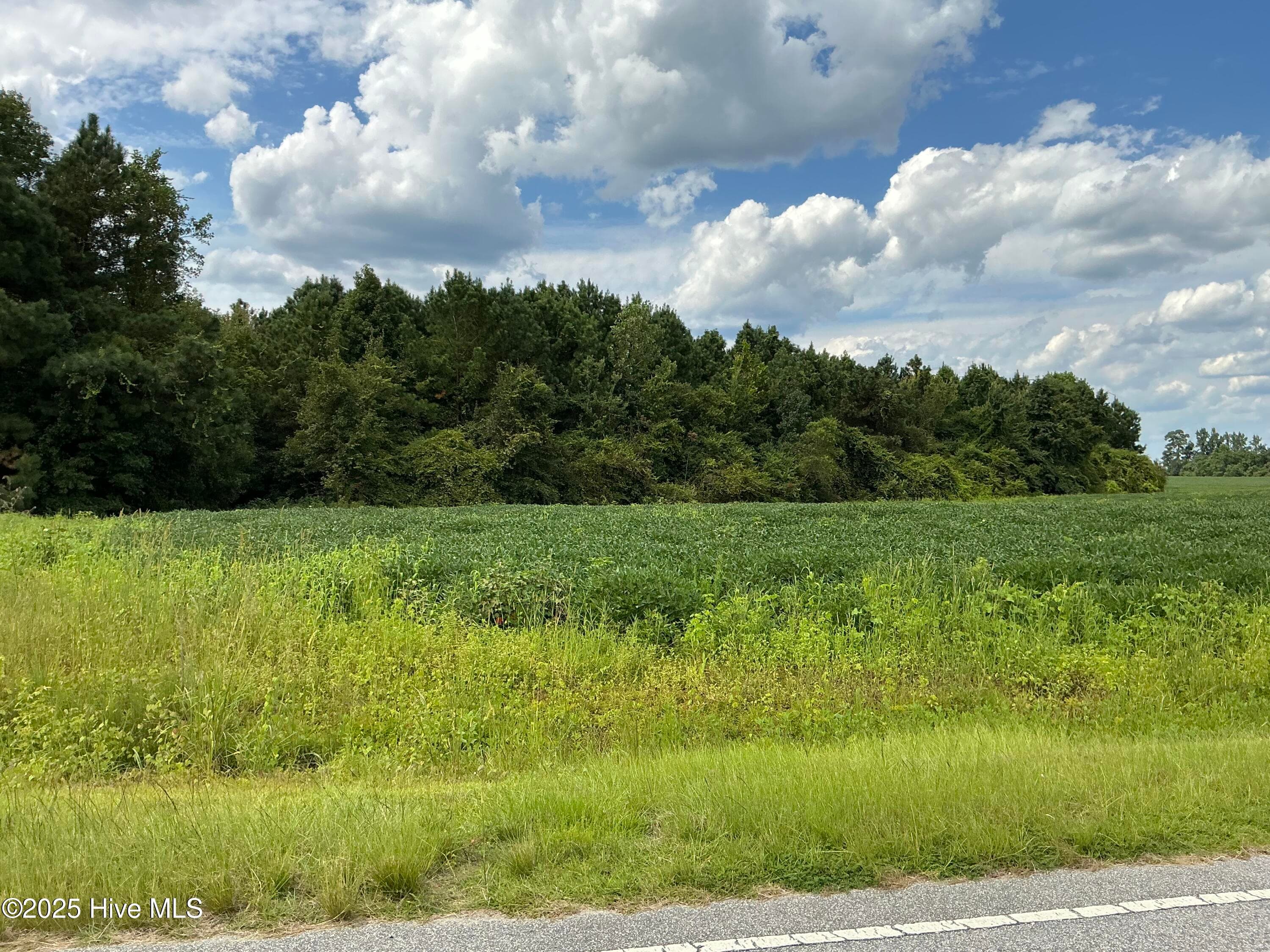 Farm at 2100 Golf Course Road, Whiteville, NC 28472, photo 10 of 10