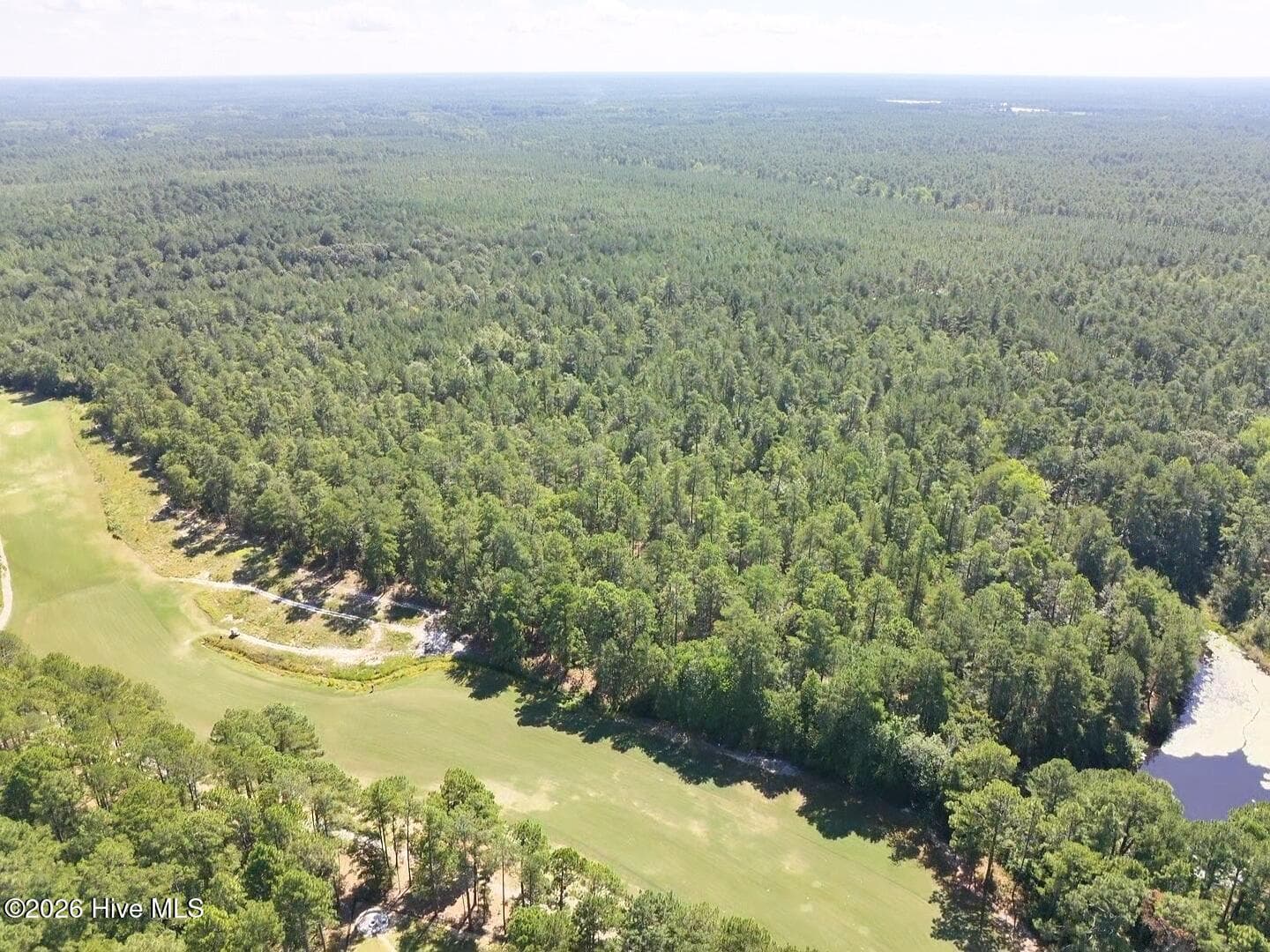 Residential Lot at Trt 8 Peach Orchard Road, Wagram, NC 28396, photo 6 of 7
