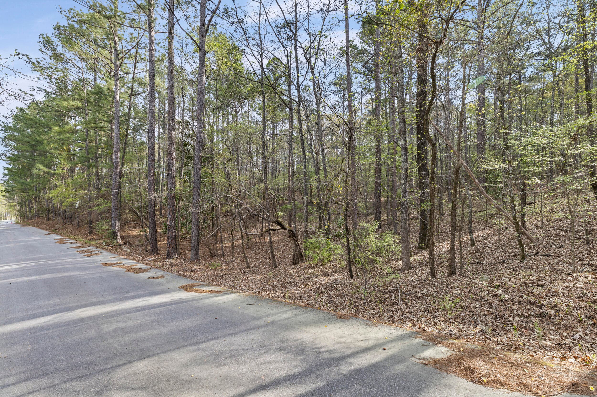 Residential Lot at 0 Lbk Circle, Tignall, GA 30668, photo 6 of 22