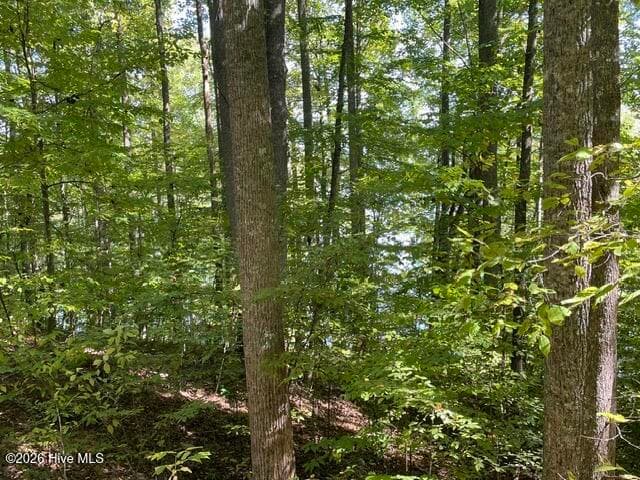 Residential Lot at 00 Rocky Branch Overlook, Topton, NC 28781, photo 3 of 7