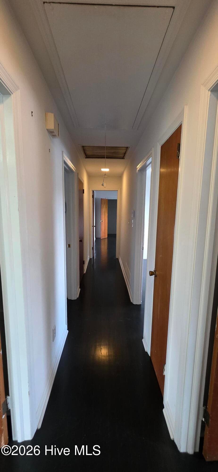 Hallway - 2423 Eagle Drive, Augusta, GA 30906
