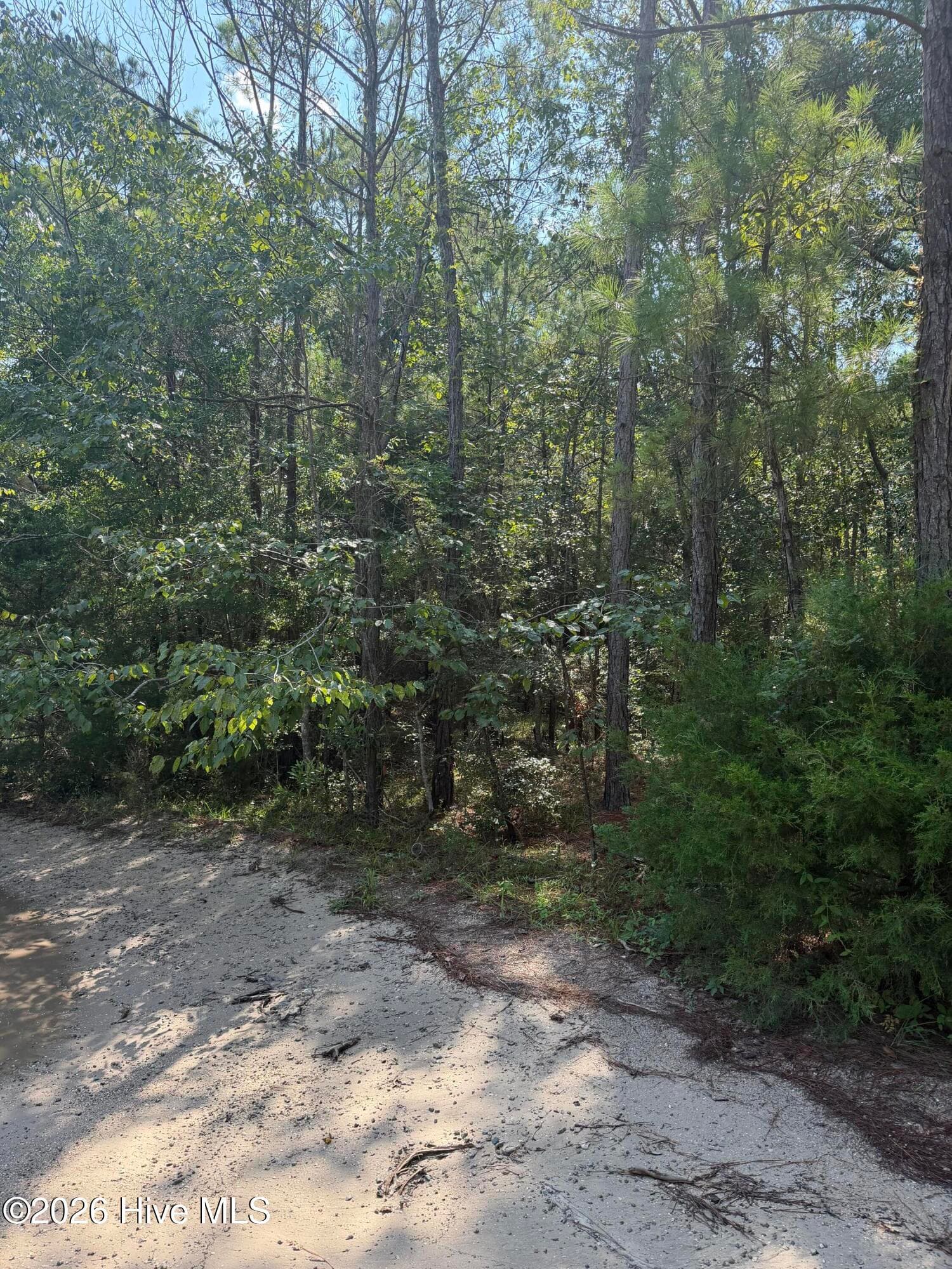 Residential Lot at 2853 Robin Drive SW, Shallotte, NC 28470, photo 3 of 10