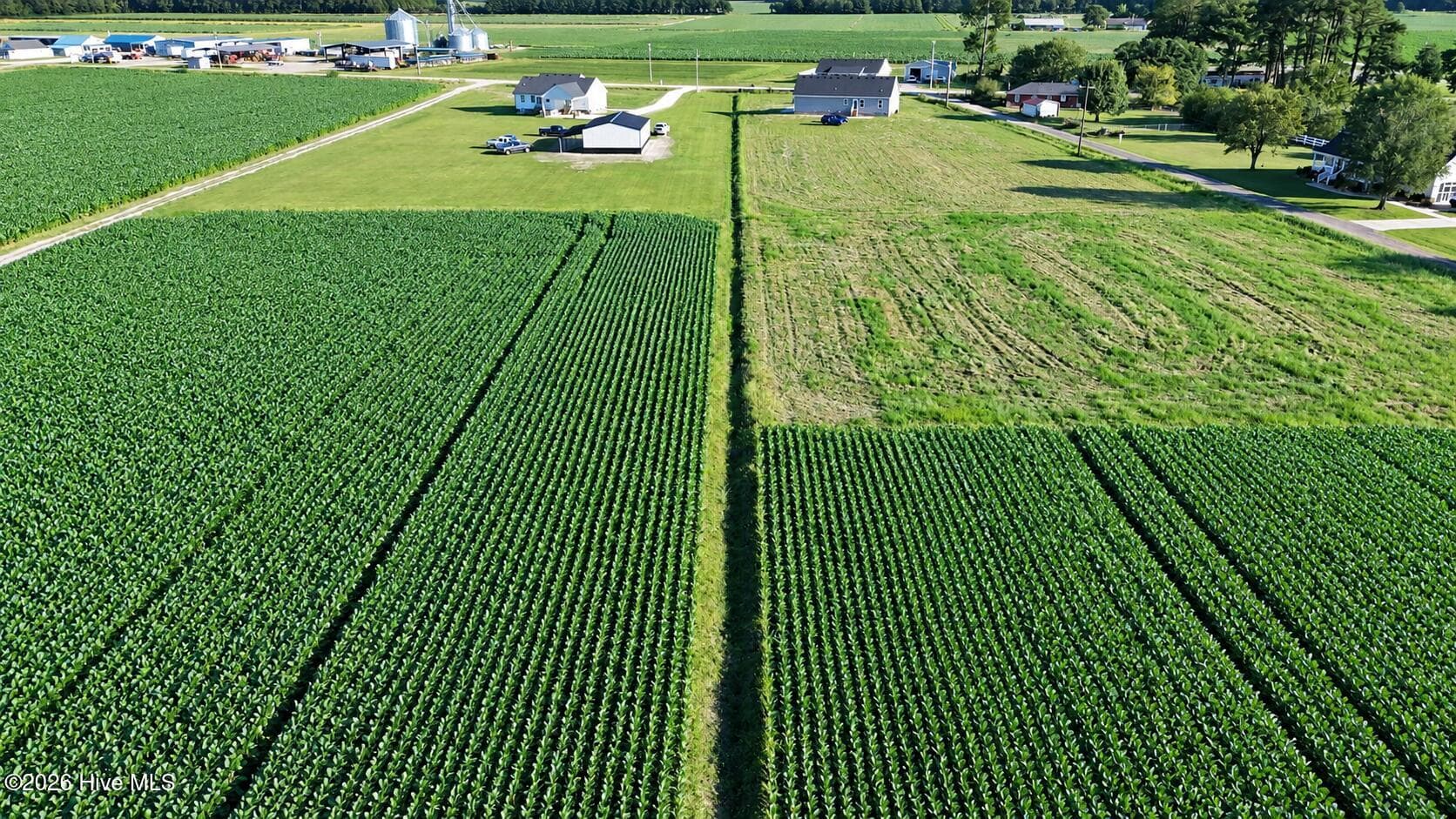 Agriculture at 617 1 Meadstown Road, Elizabeth City, NC 27909, photo 2 of 14