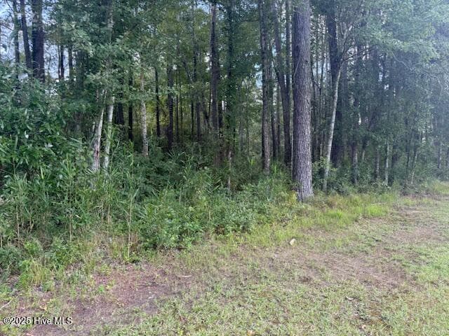 Residential Lot at 2539 Chauncey Town Road, Lake Waccamaw, NC 28450, photo 4 of 8