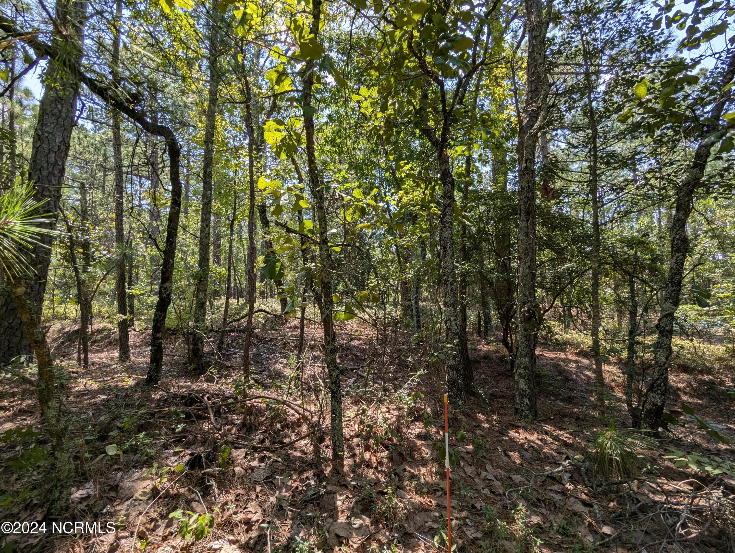 445 166 Thimbleberry Drive, Vass, NC 28394