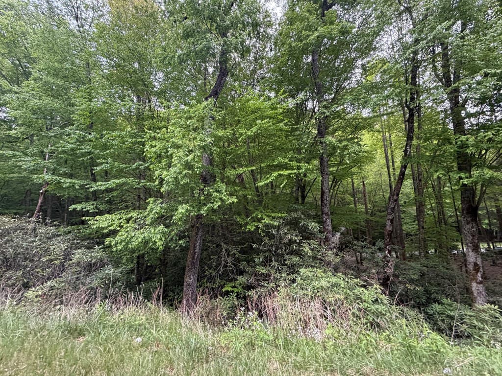Residential Lot at Lots 9&17 9&17 Warrior Way, Andrews, NC 28901, photo 10 of 10