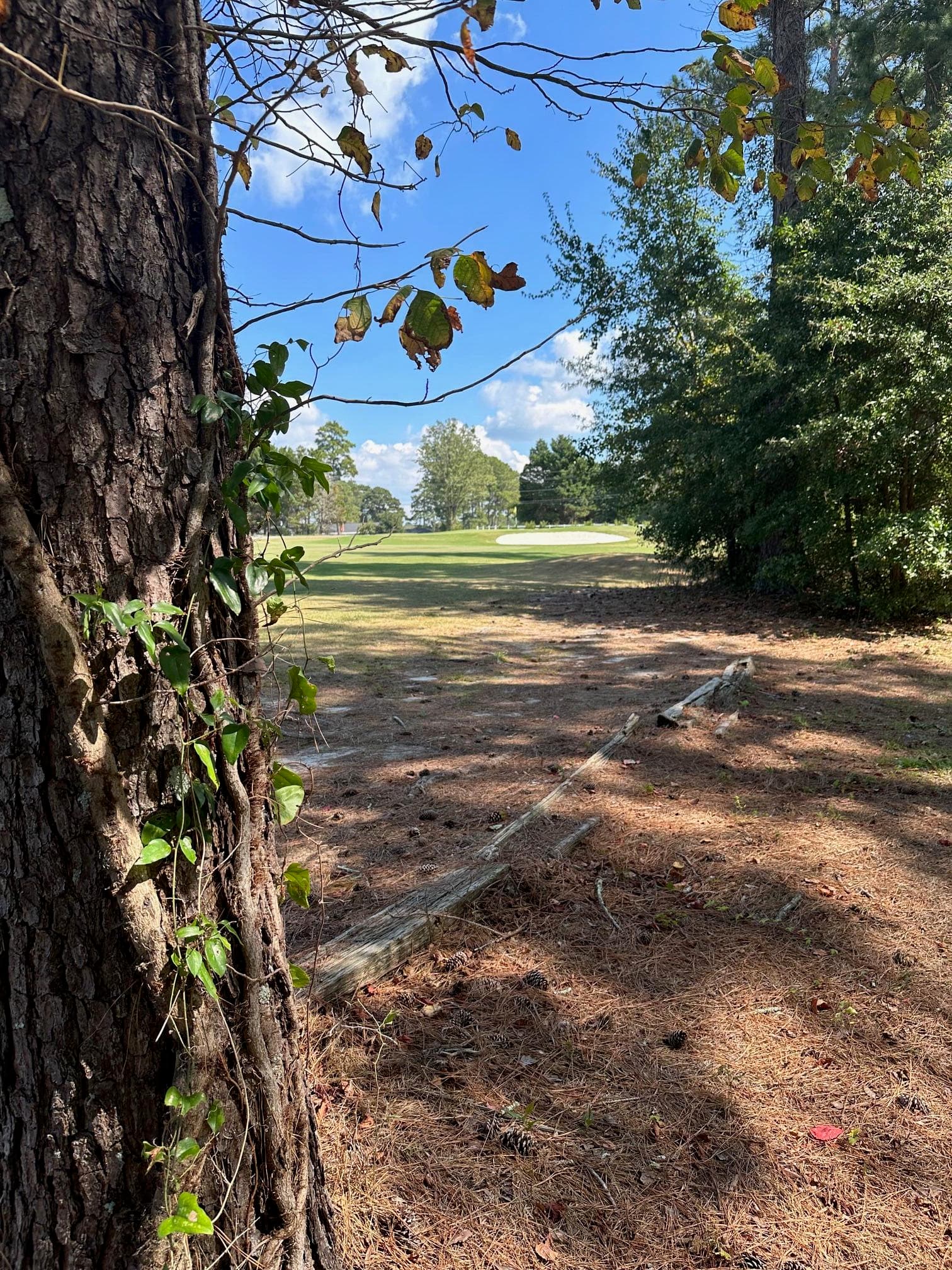 293 NW South Lake Drive, Thomson, GA 30824