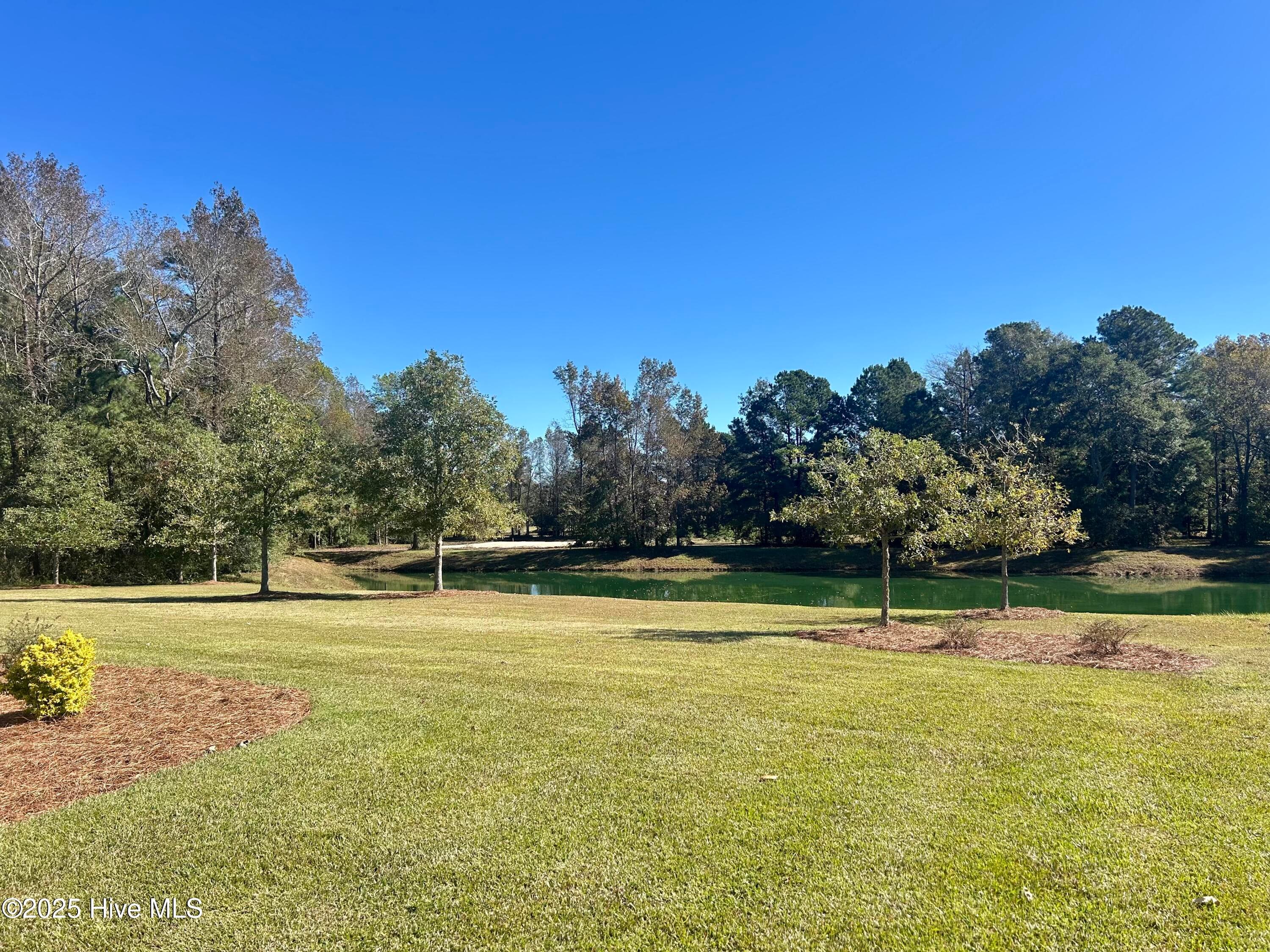 Side view to back yard - 141 Sycamore Lakes Drive, Wallace, NC 28466
