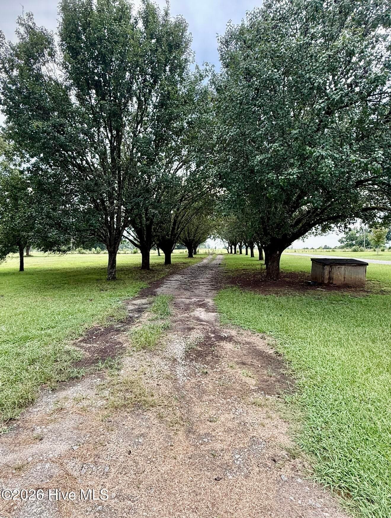 Tree-Lined Driveway! - 1951 Stagecoach Road NE, Thomson, GA 30824