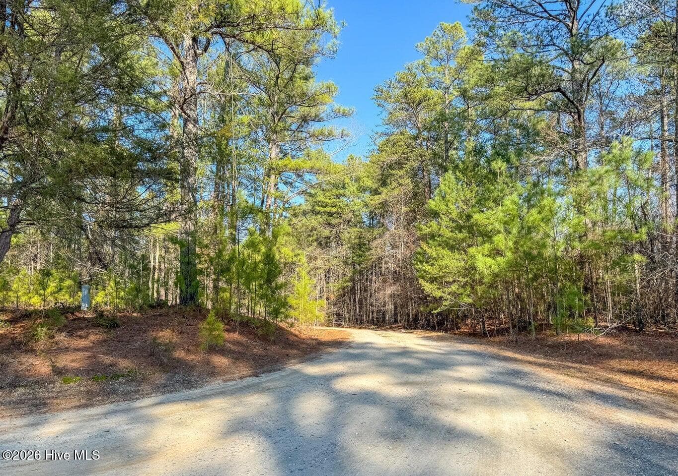 Residential Lot at 104 Western Trail, Carthage, NC 28327, photo 6 of 11