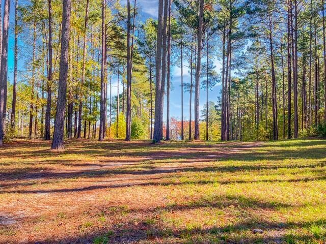 Residential Lot at 18 S Pointe Cove, Lincolnton, GA 30817, photo 7 of 15