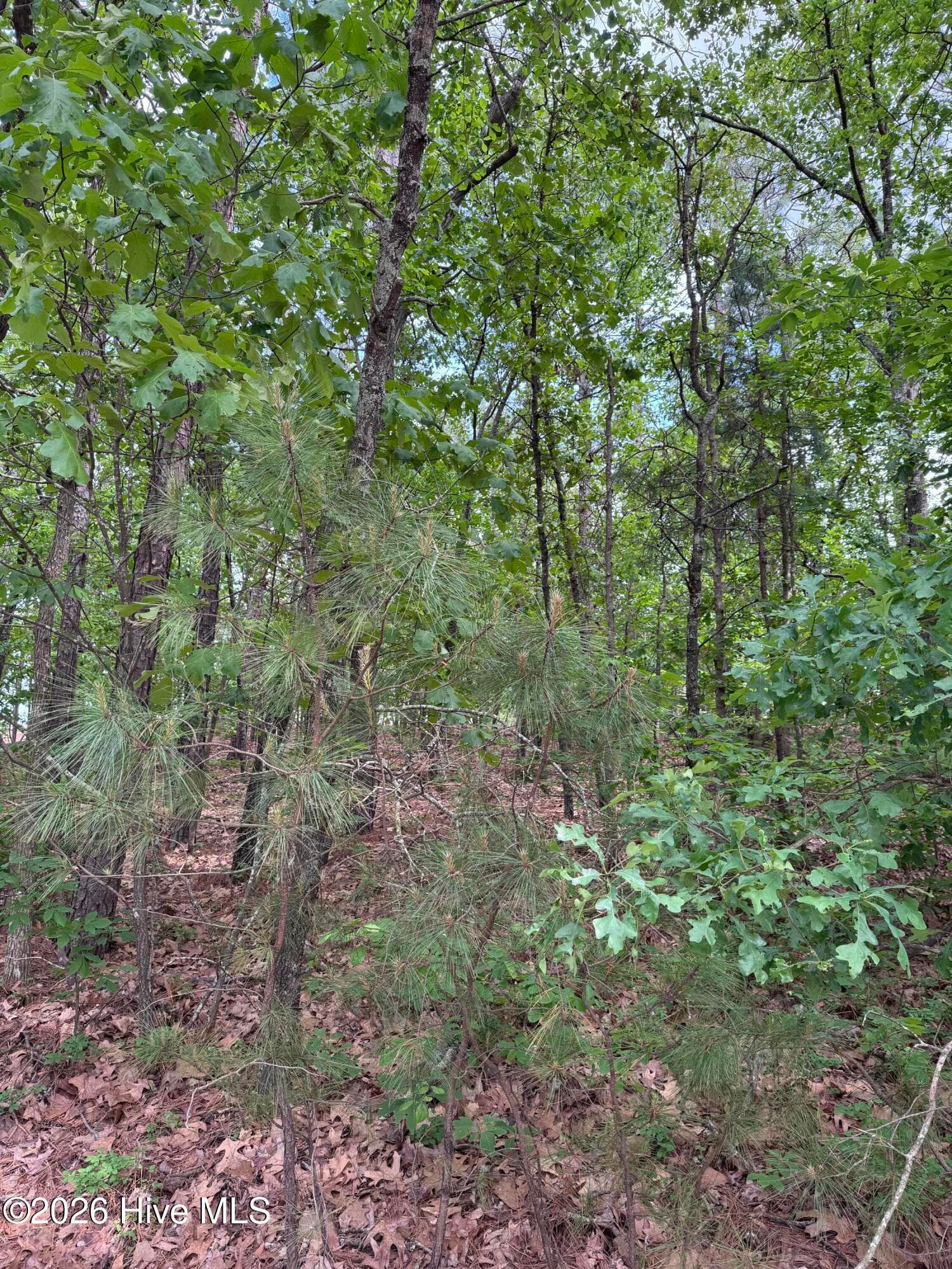 Residential Lot at 148 4177 Otter Drive, Seven Lakes, NC 27376, photo 2 of 7