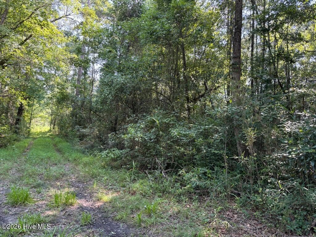 Lot 6 6 E Wilmington Street, Burgaw, NC 28425
