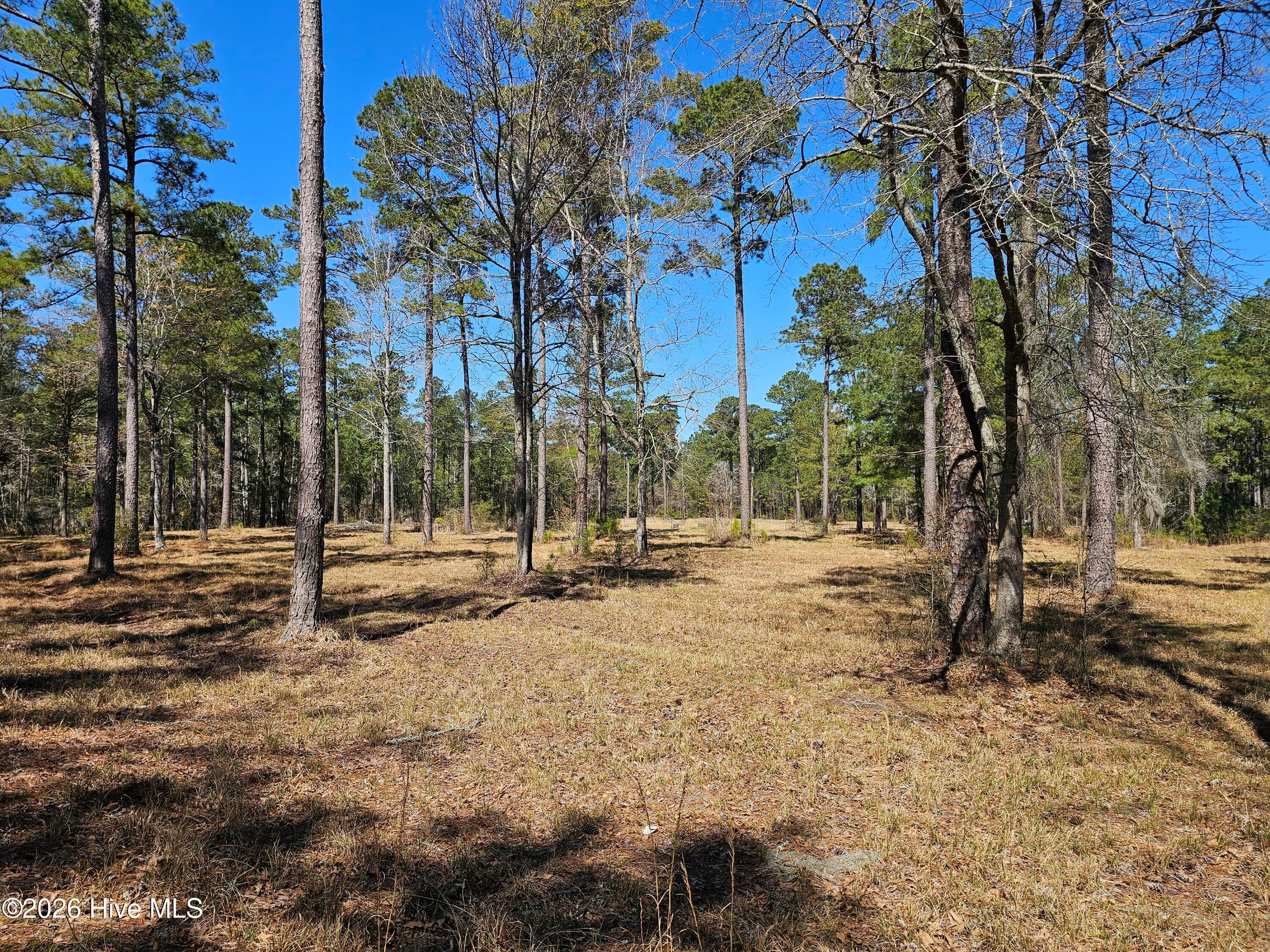 32 & 33 32 & 33 Bailey Pointe Drive, Belhaven, NC 27810