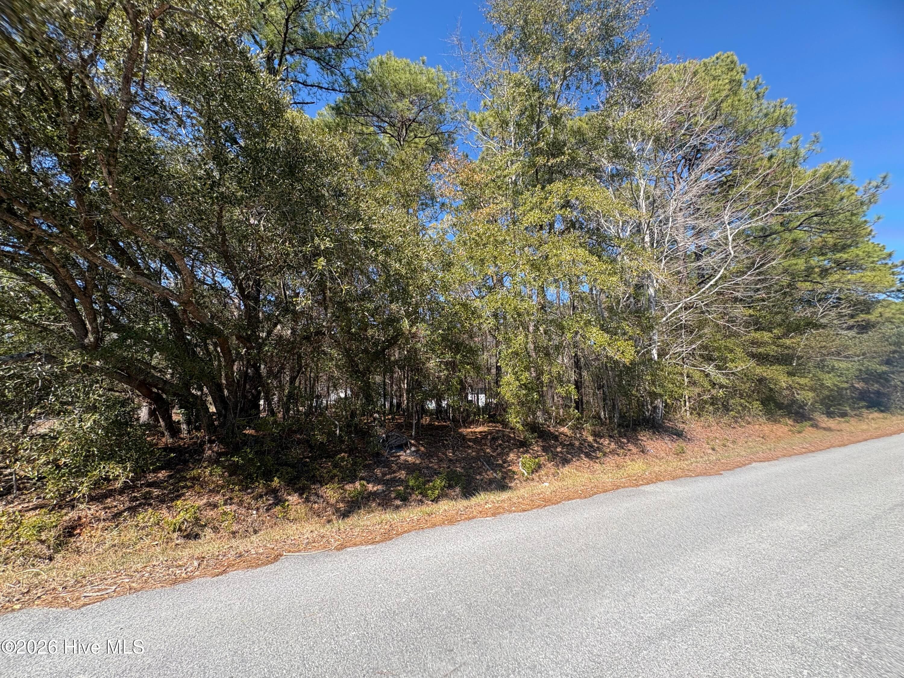 Residential Lot at 1 Maple Road, Boiling Spring Lakes, NC 28461, photo 2 of 3