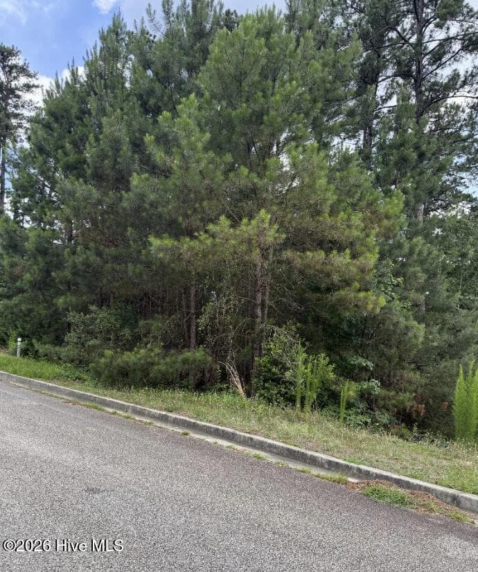 Residential Lot at 3946 Carolyn Street, Augusta, GA 30909, photo 2 of 4