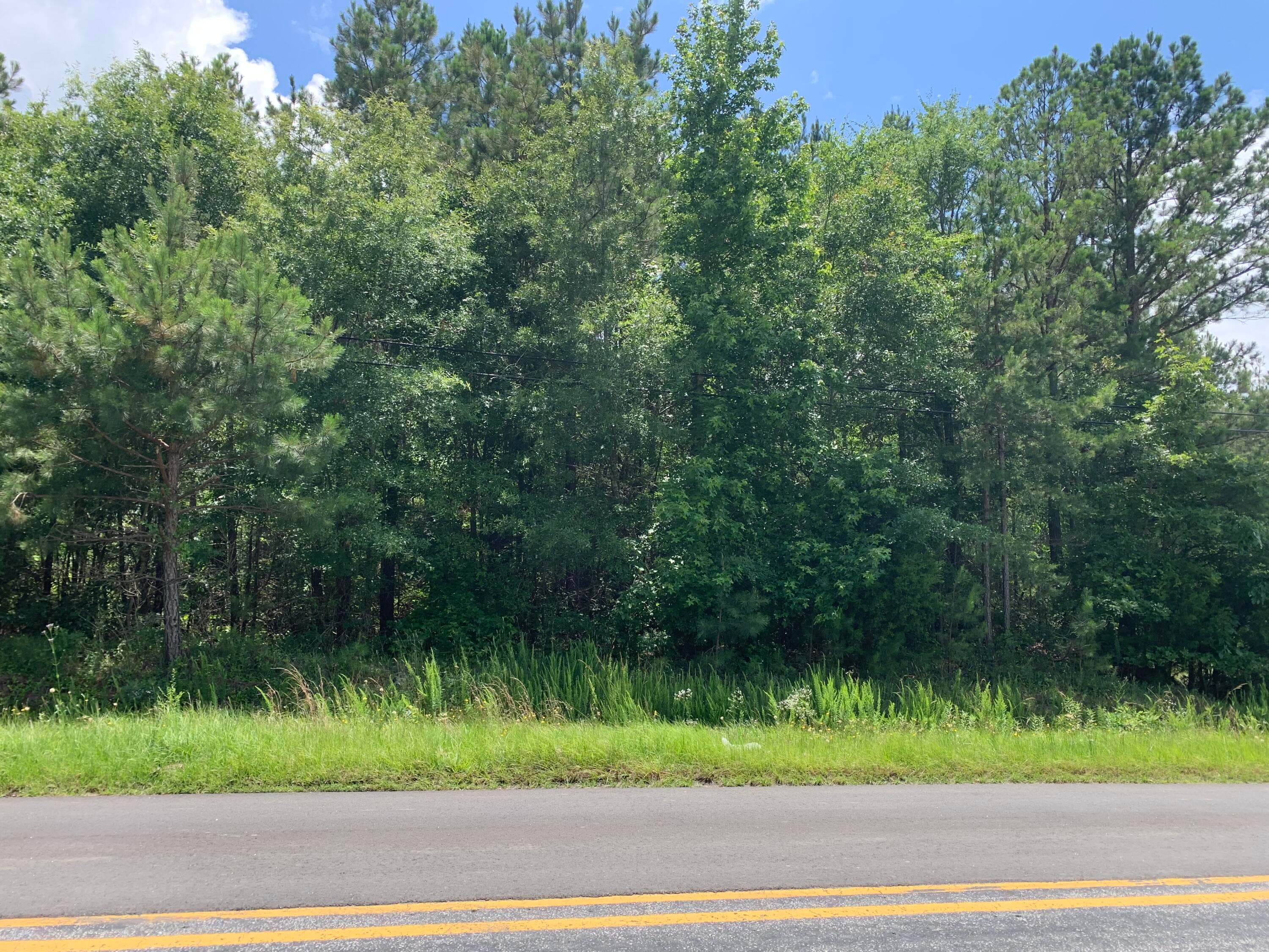 Front View - Na Metasville Road, Lincolnton, GA 30817