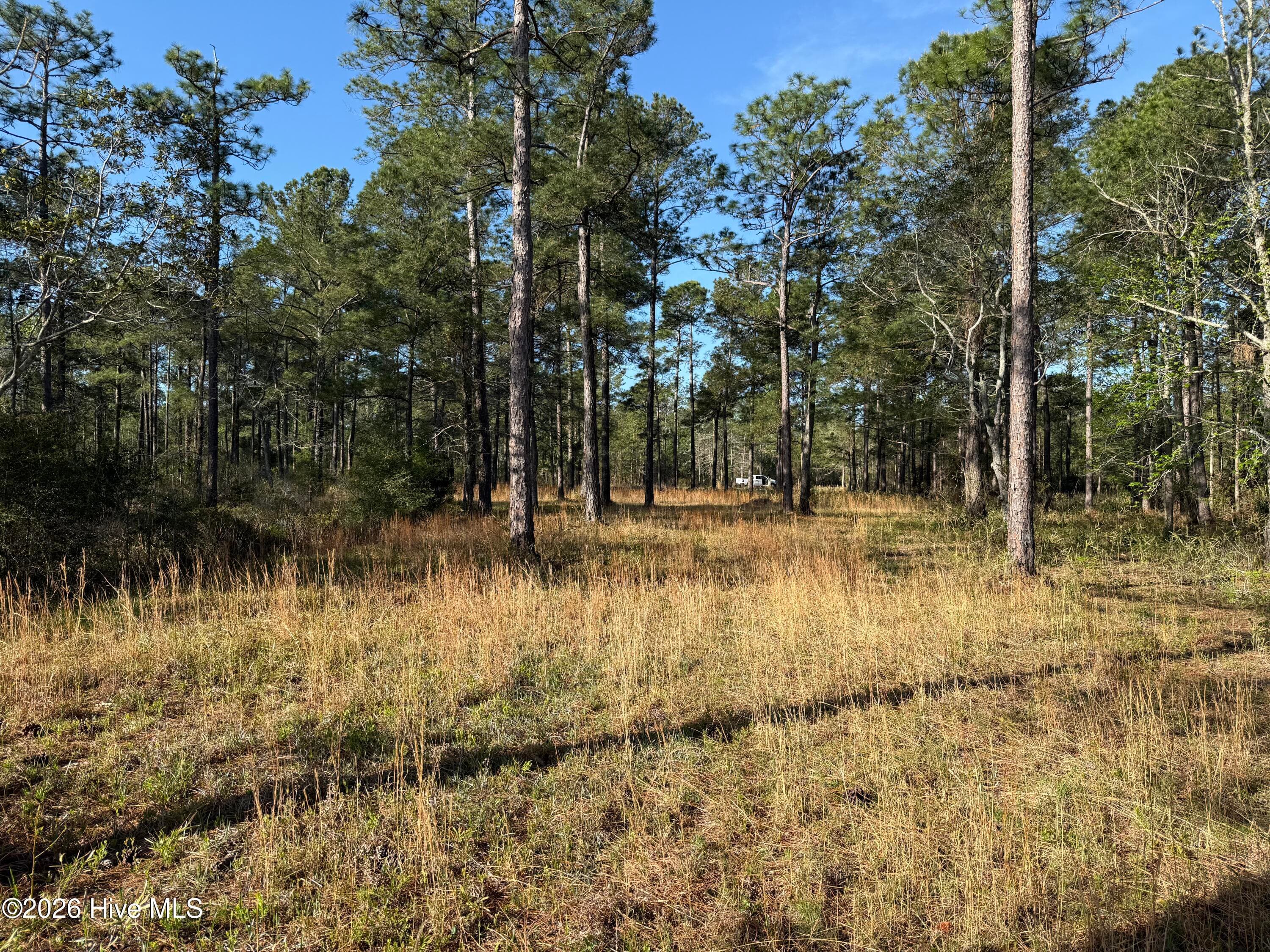 Residential Lot at 269 23 Shell Castle Lane, Vandemere, NC 28587, photo 18 of 43