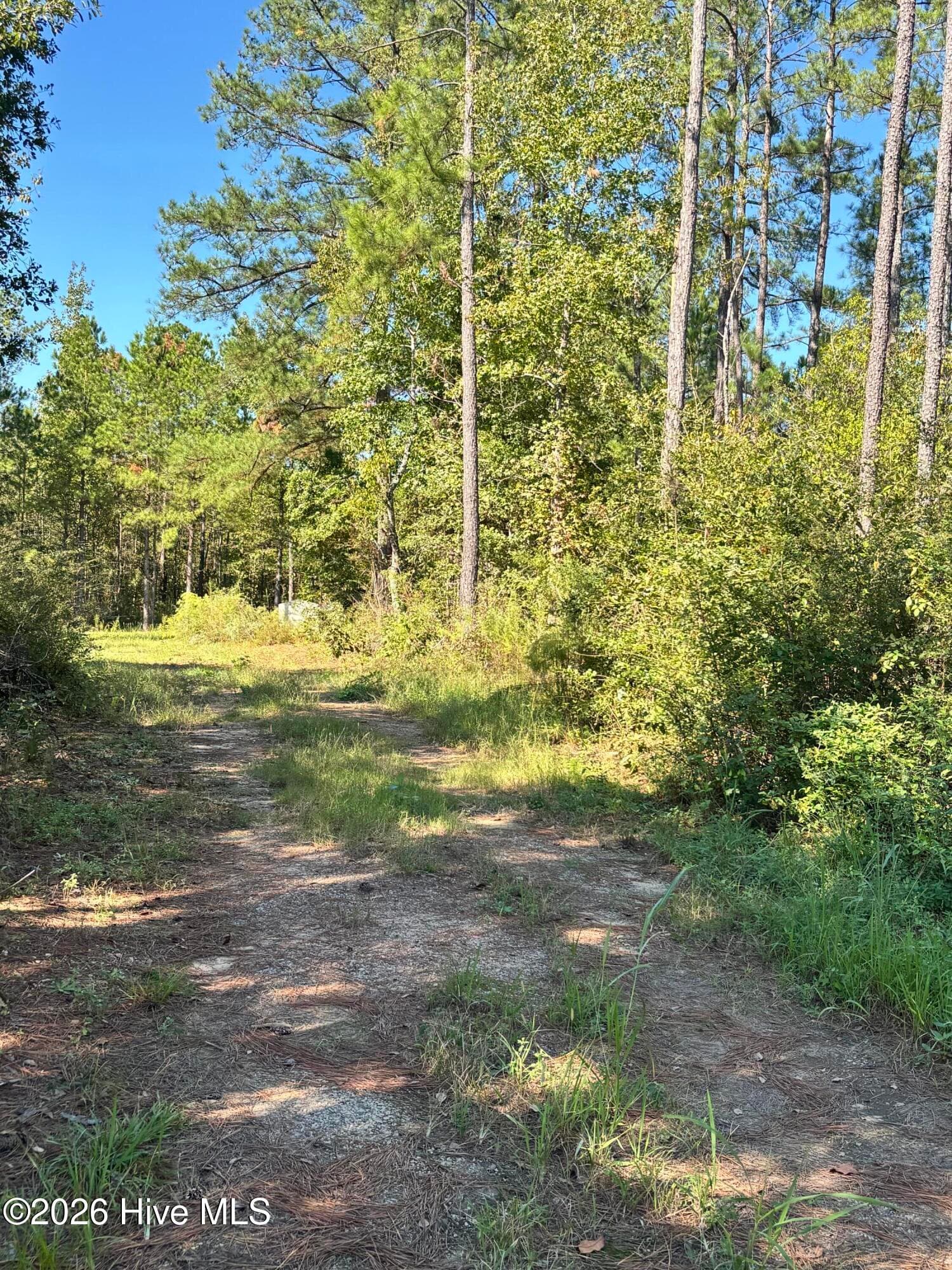 Residential Lot at 3245 10 Ga Highway 88, Blythe, GA 30805, photo 5 of 5
