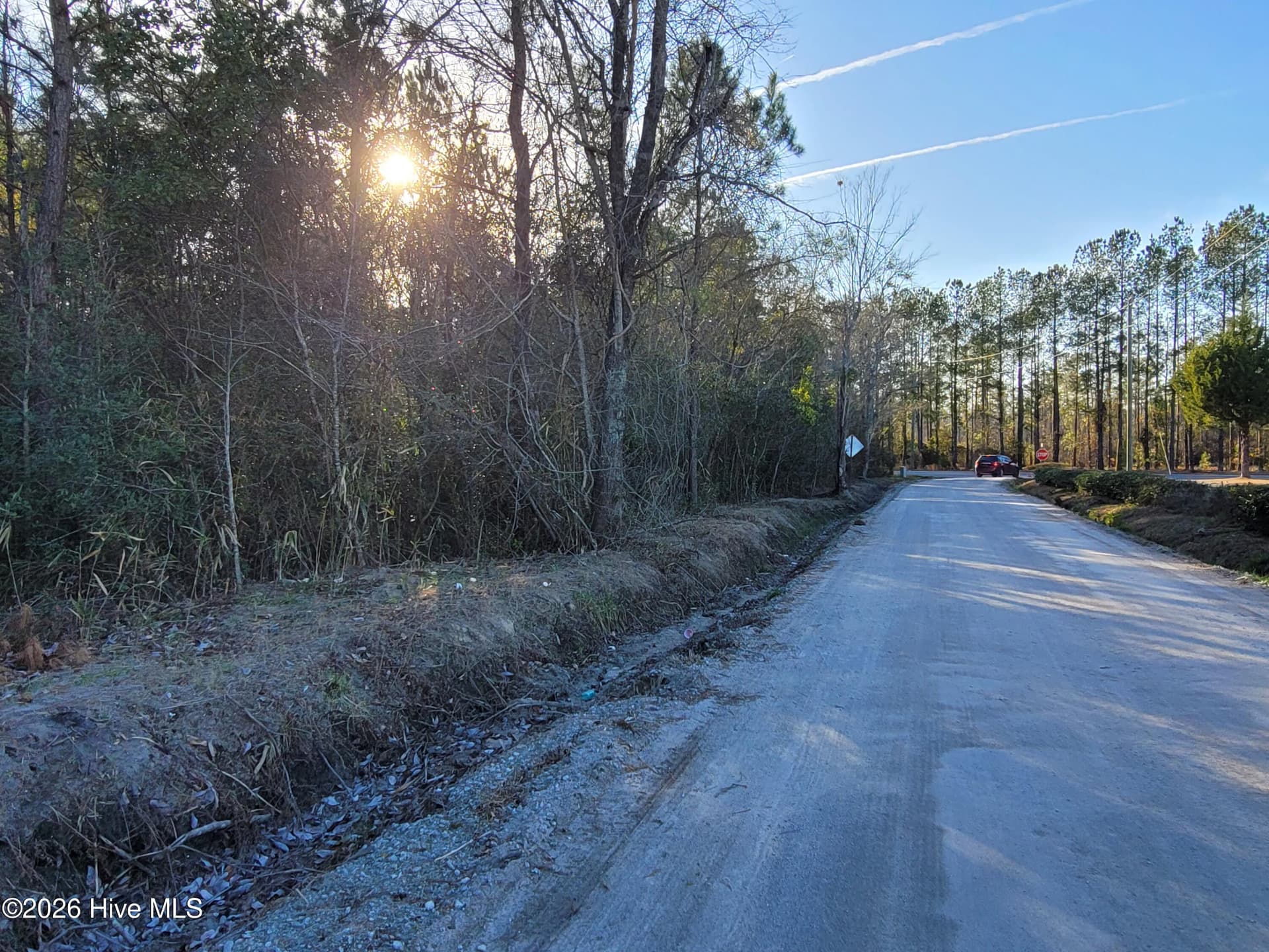 Wooded at Tbd Lot 3 3 Auburn Drive, Loris, SC 29569, photo 4 of 9