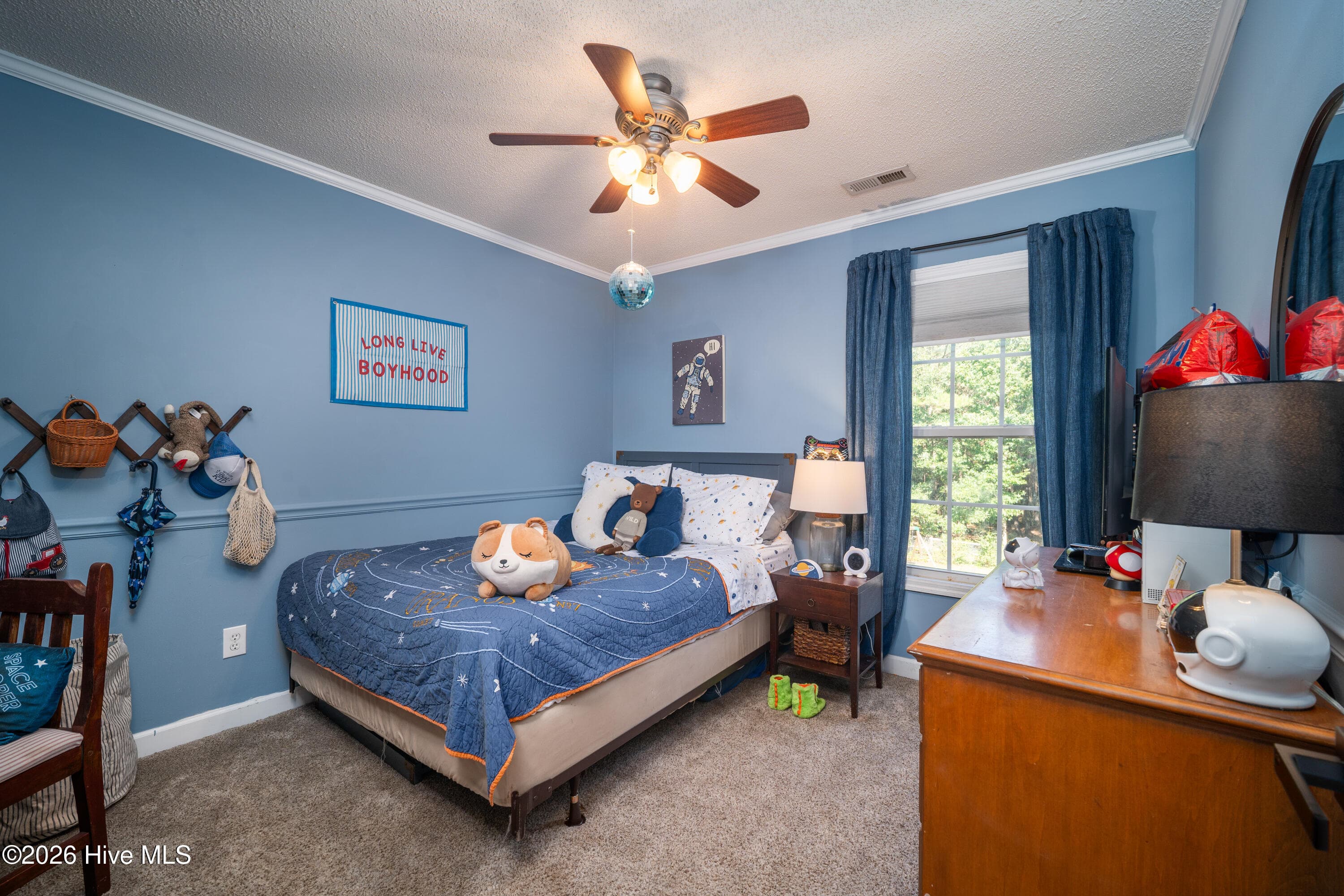 Single Family Residence at 217 English Walnut Drive, Richlands, NC 28574, photo 23 of 41