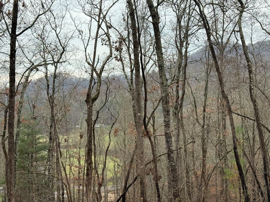 Land at 0 Flaming Ridge, Hayesville, NC 28904, Hayesville, photo 4 of 7