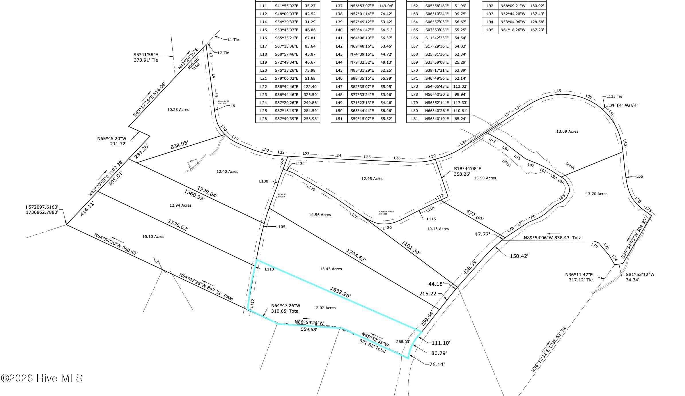 Residential Lot at Lot 5 Capelsie Road, Candor, NC 27229, photo 14 of 14