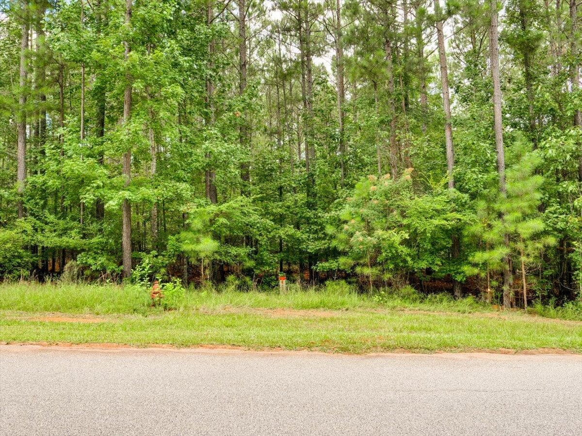 Lot 58 58 Lighthouse Pointe, Lincolnton, GA 30817