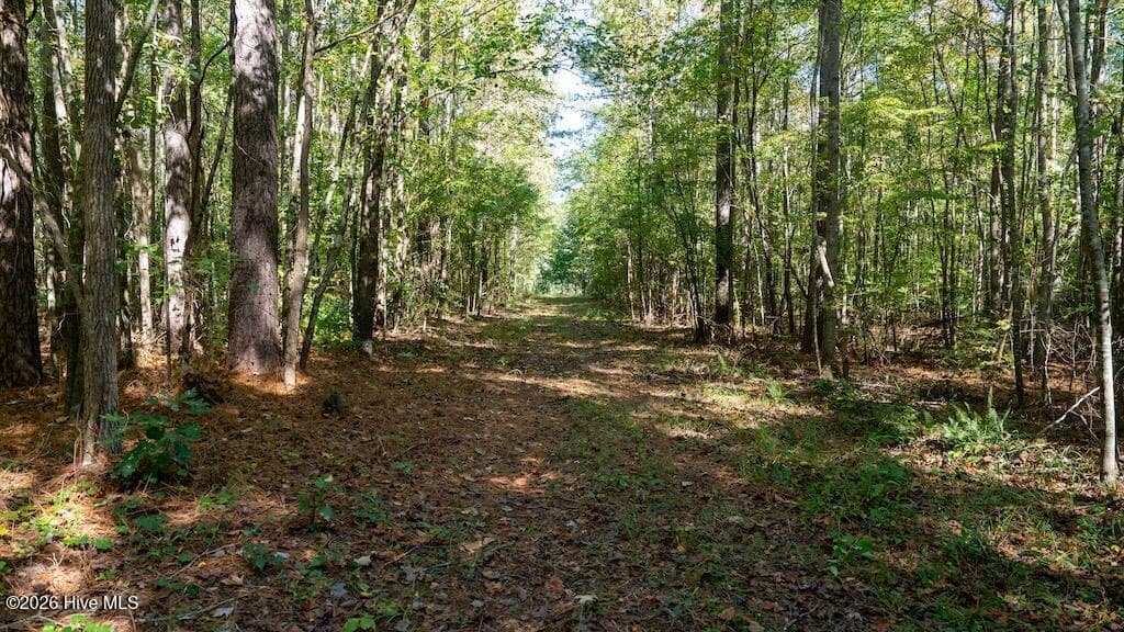 Mixed Use at 0 Spring Hill Road, Scotland Neck, NC 27874, photo 49 of 93