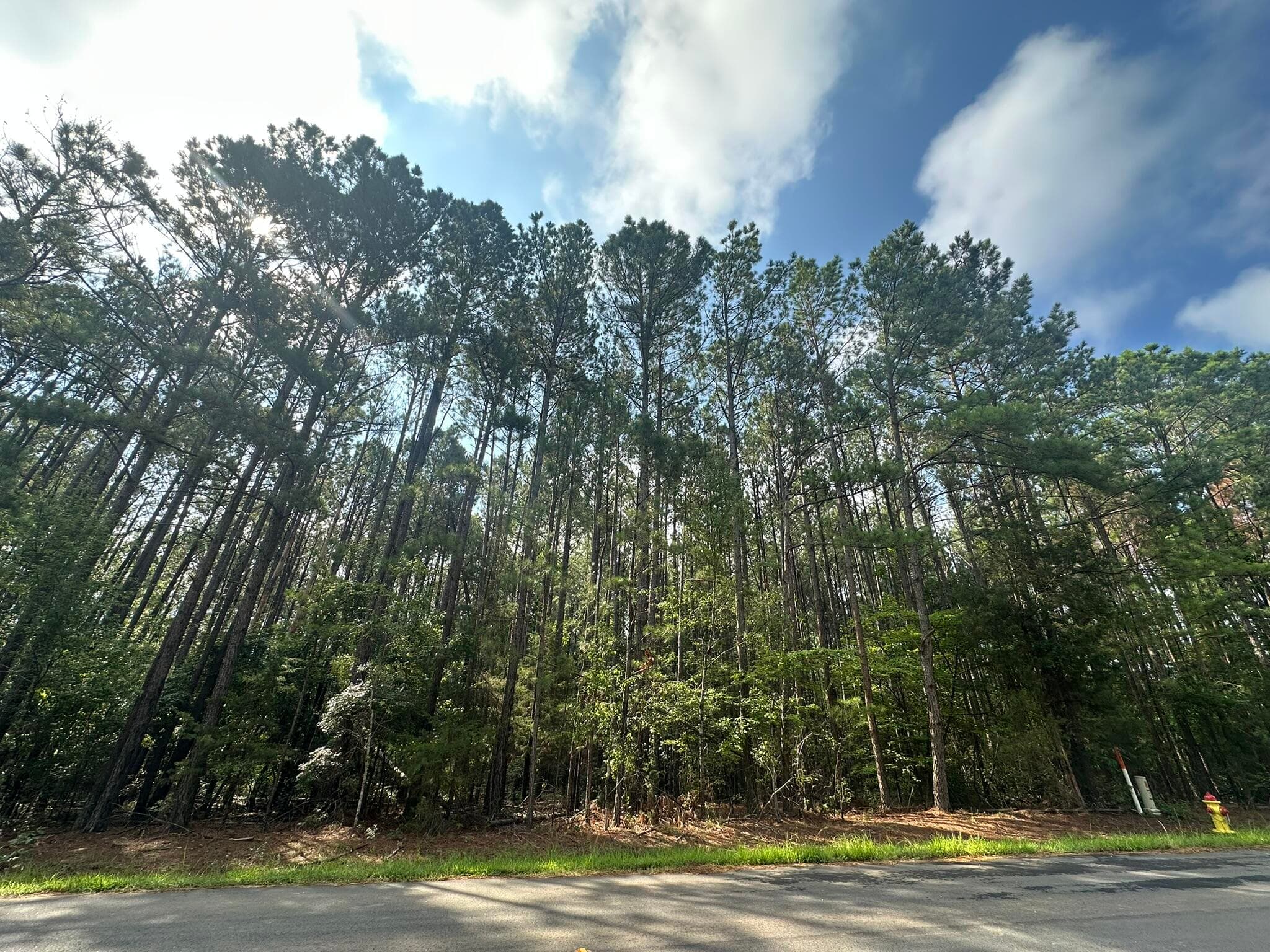 Lot 2 2 Dogwood Lane, Parksville, SC 29845