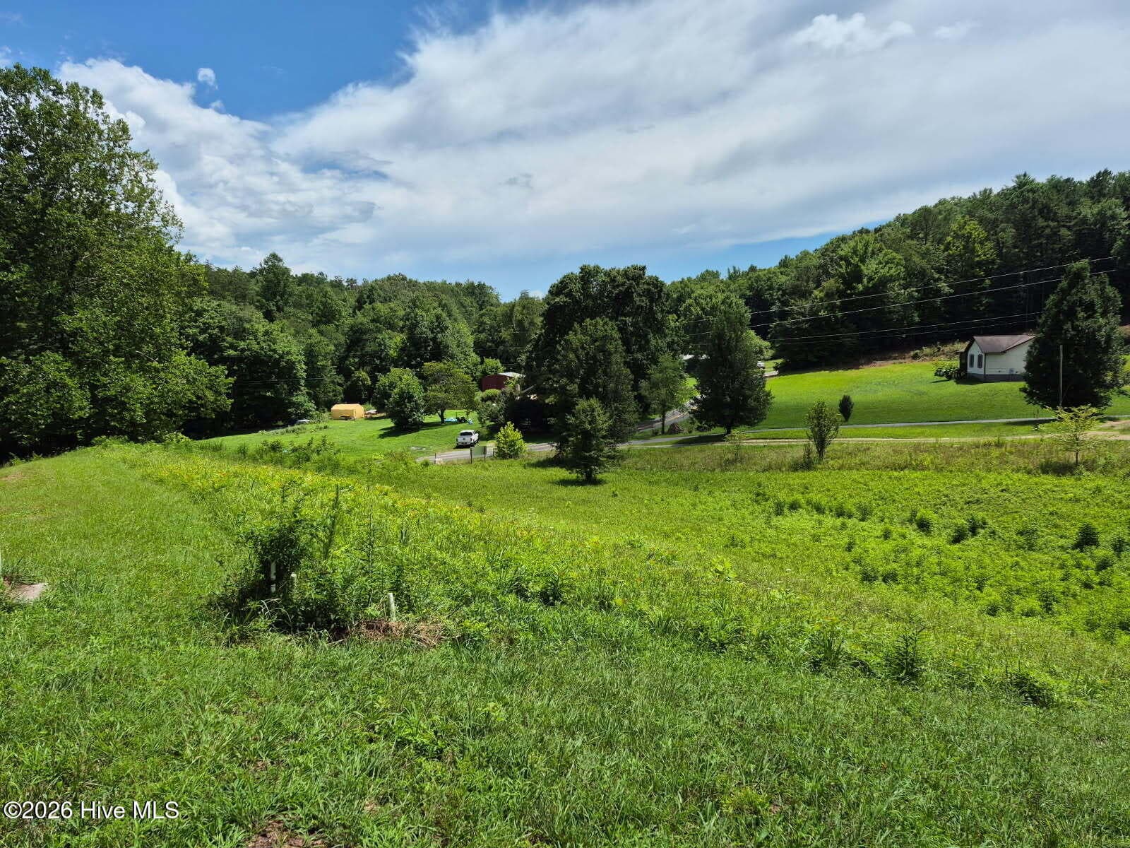 1 Henry Moss Lane, Marble, NC 28905