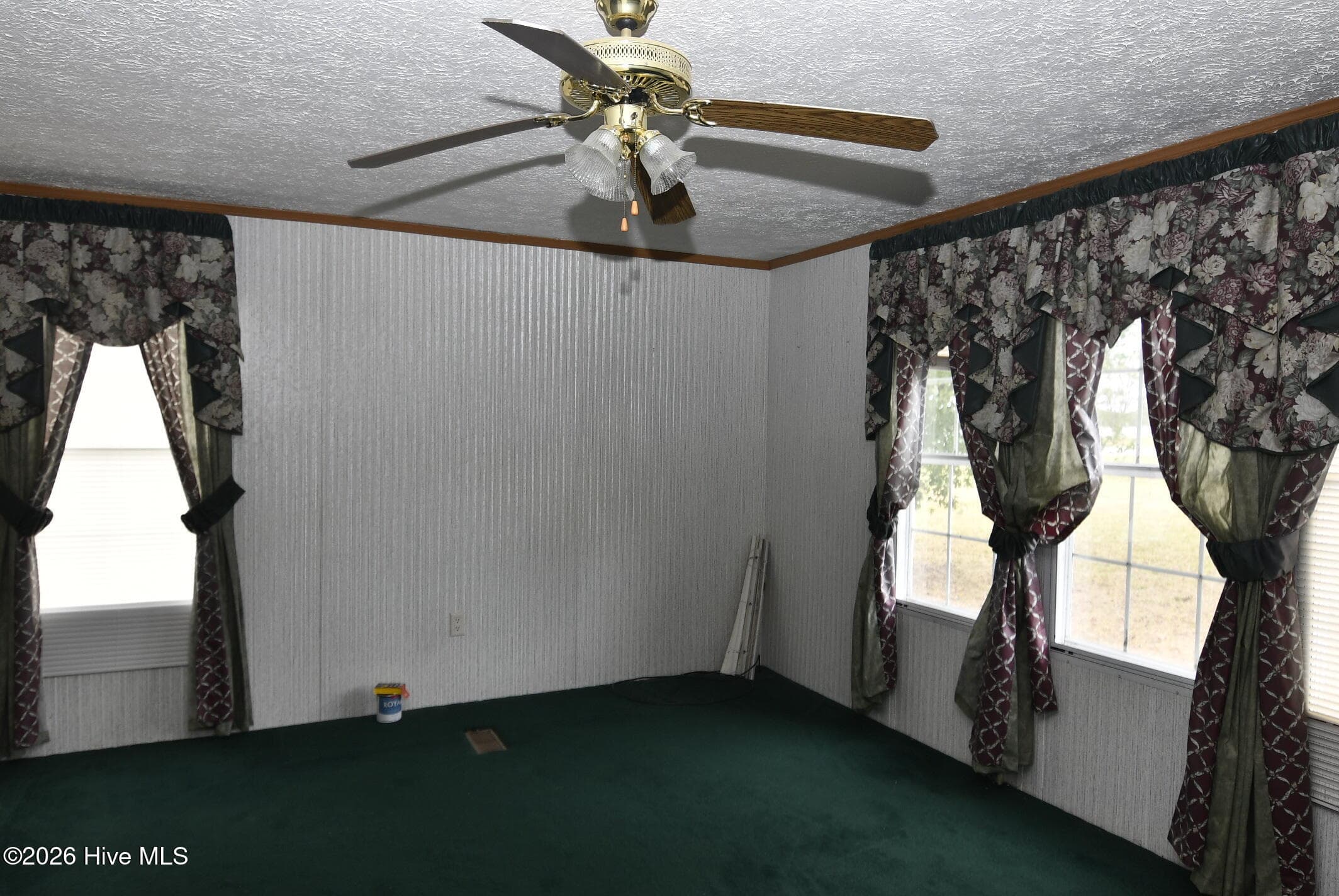 Primary Bedroom - 1362 Gilmer Ricks Road, Conway, NC 27820