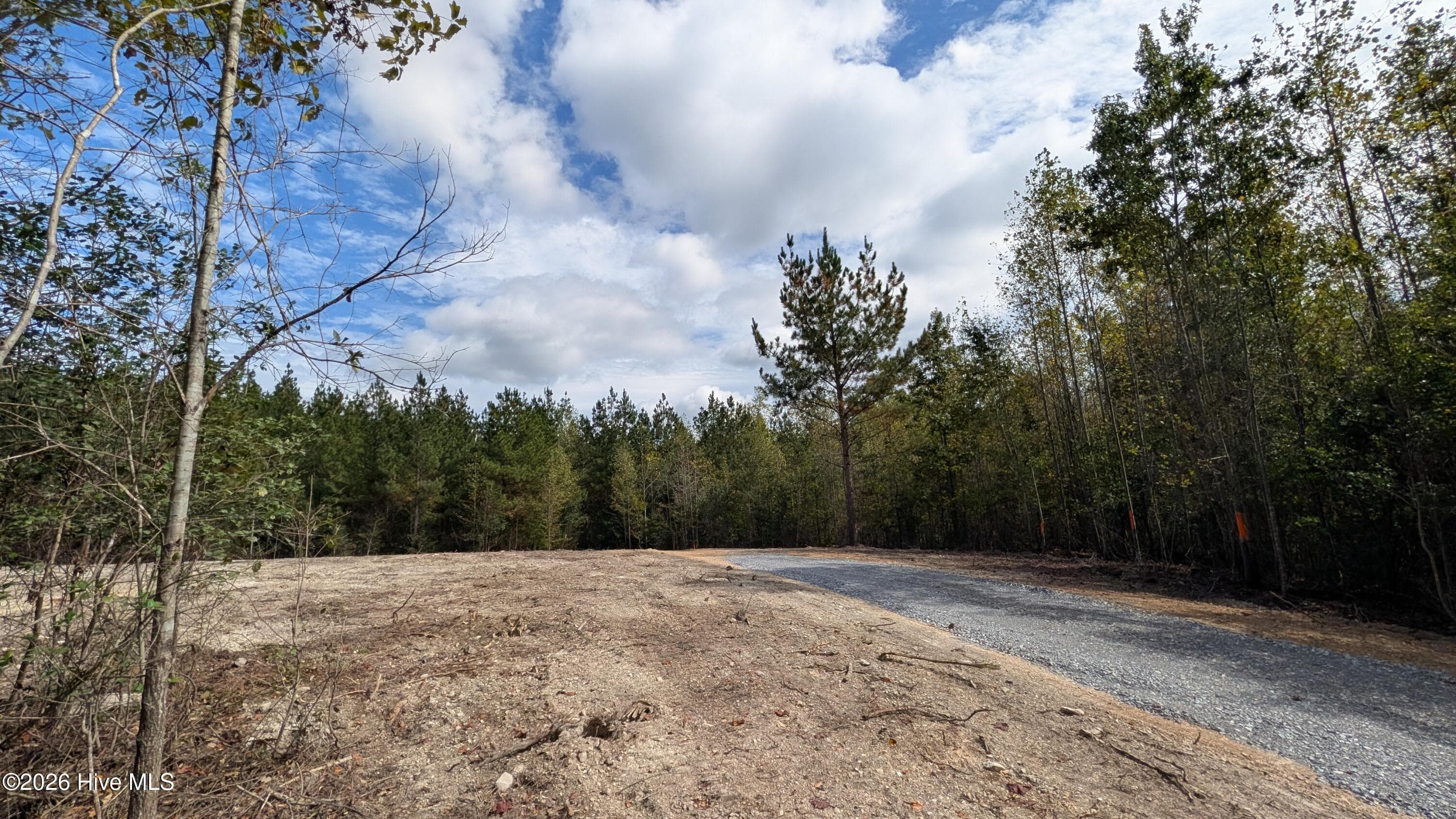 Residential Lot at Lot 5 Capelsie Road, Candor, NC 27229, photo 6 of 14