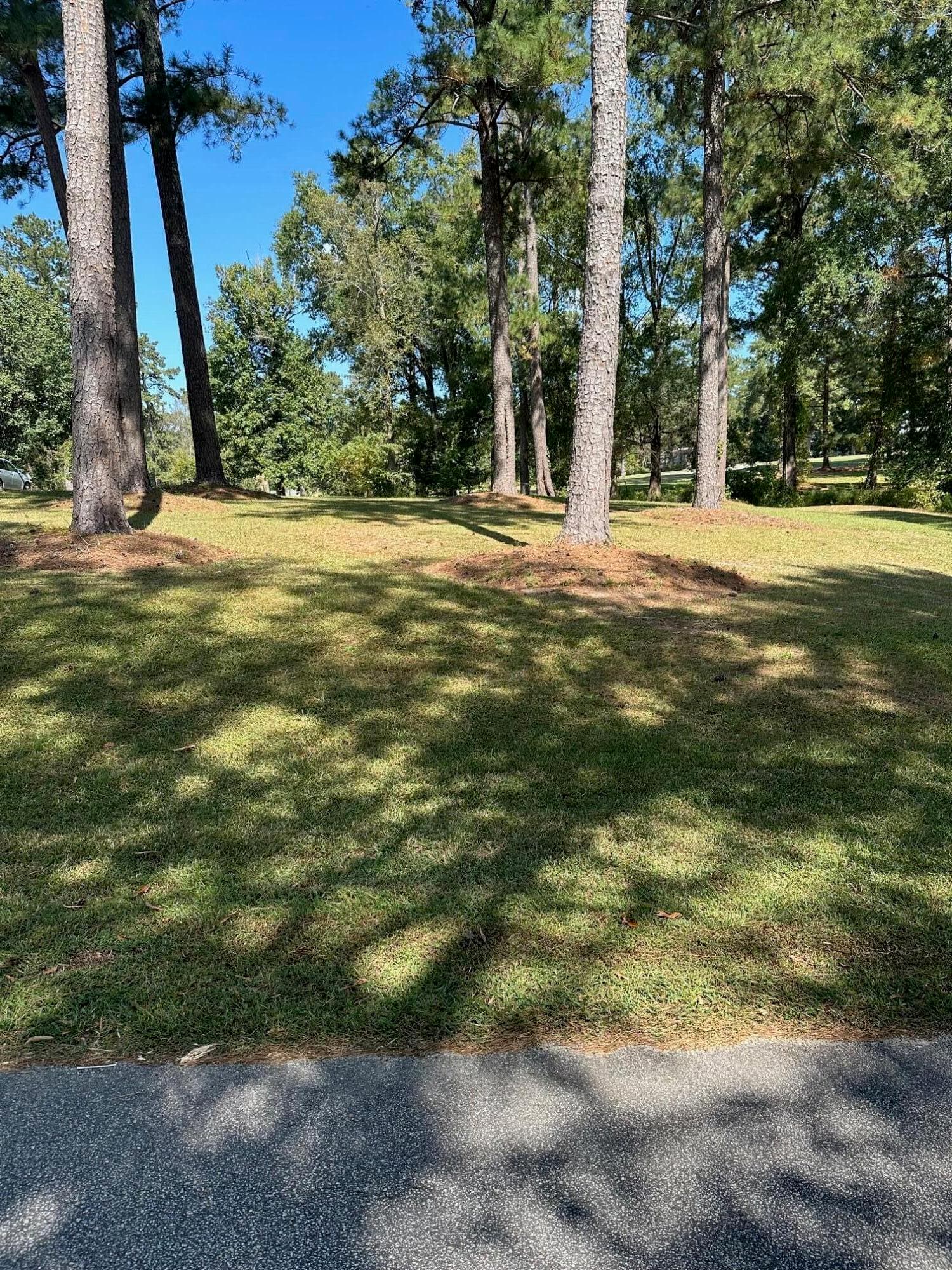 Residential Lot at 000 NW South Lake Drive, Thomson, GA 30824, photo 2 of 5