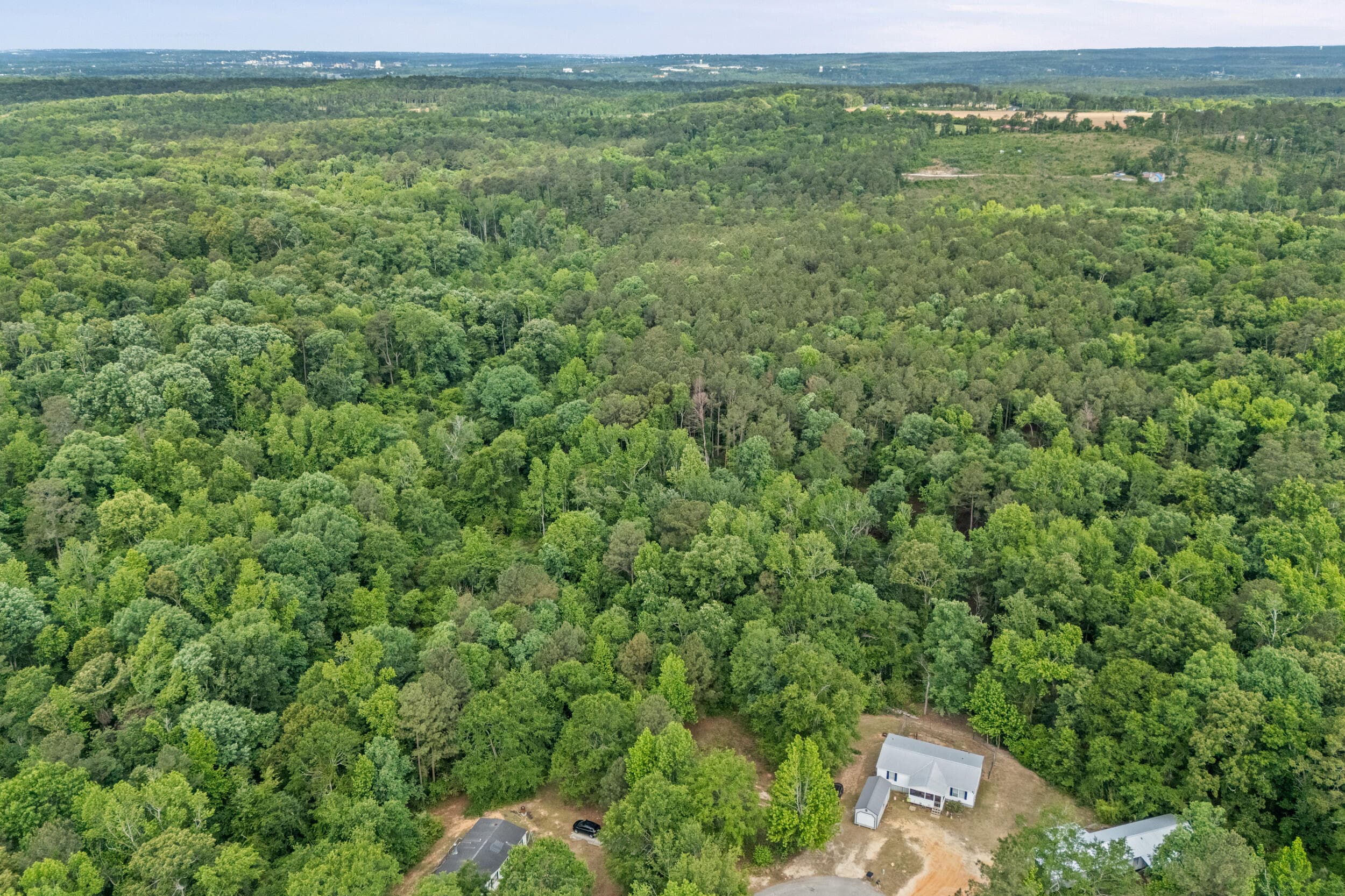 Agriculture at 0 Graystone Drive, Beech Island, SC 29842, photo 5 of 14