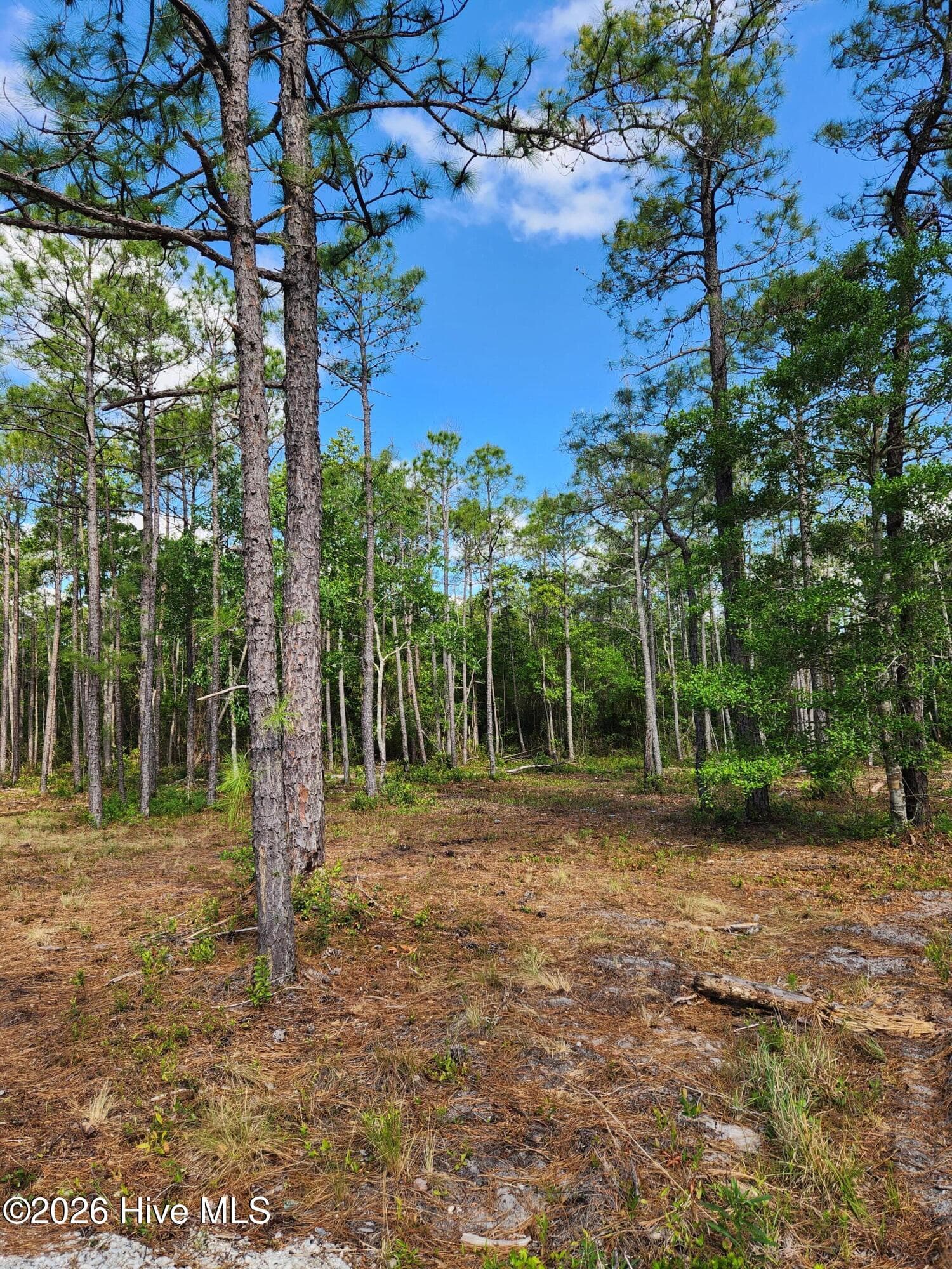 Undeveloped at 372 Greenview Ranches, Wilmington, NC 28411, photo 49 of 61